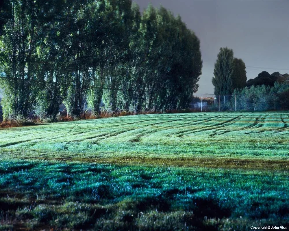 Contemporary Night Photograph "Tracks in Field" by John Vias: Note from the artist, John Vias: "The repeating patterns of trees, furrows in the grass, and varying colors in the turf inspired me to capture this nighttime scene." This 11" x 14" archival color