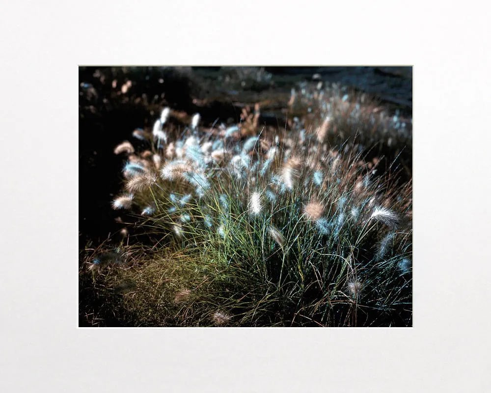 Contemporary Night Photograph "Fuzzy" by John Vias - 2