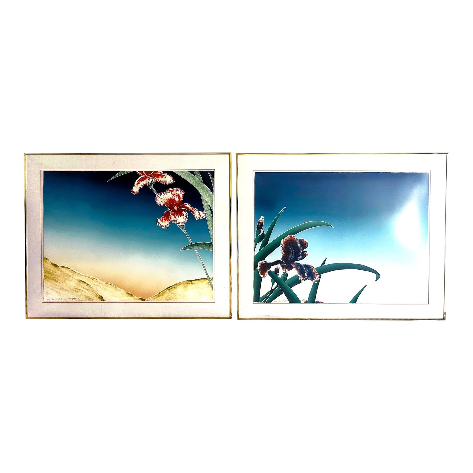 1980s Original Signed "Iris at Daybreak" and "Iris at Dusk" Framed Woodcut Silkscreens by D. Goldste: Original Signed "Iris at Daybreak" and "Iris at Dusk" Woodcut Silkscreen by Daniel Goldstein, 1980. These original color woodblock prints feature embossing by American artist Daniel Joshua Goldstein,