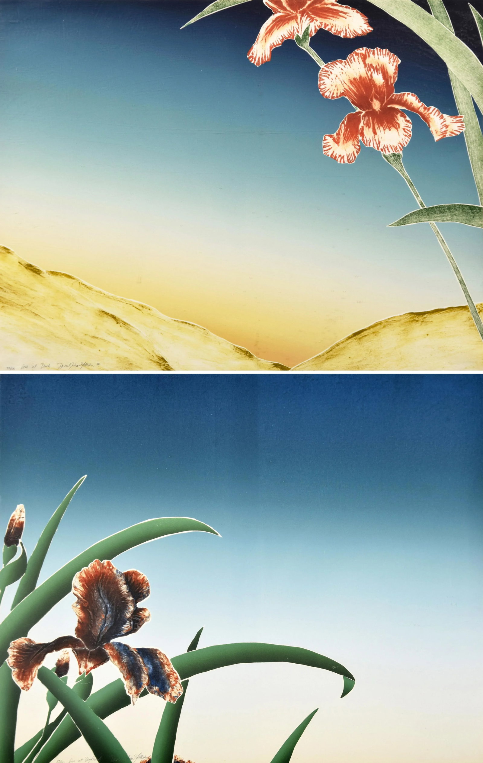 1980s Original Signed "Iris at Daybreak" and "Iris at Dusk" Framed Woodcut Silkscreens by D. Goldste - 3