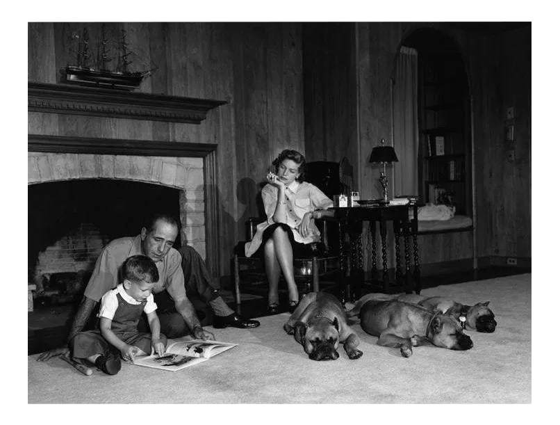 Humphrey Bogart, Lauren Bacall and Their Son, Stephen, at Home 1952 (Photo by Sid Avery): Humphrey Bogart, Lauren Bacall and their son, Stephen, with their pet boxers, Harvey, George and Baby, in their living room at home in Los Angeles, 1952. 11" x 14" silver gelatin fiber based print sig