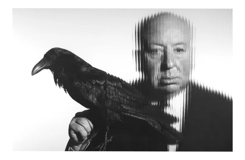 Alfred Hitchcock Holding a Bird 1958: Alfred Hitchcock holding a bird, 1958. 11" x 14" silver gelatin fiber based print signed on verso by photographer Gabi Rona. Print is unframed. Condition: Imperfections: No Imperfections Origin: