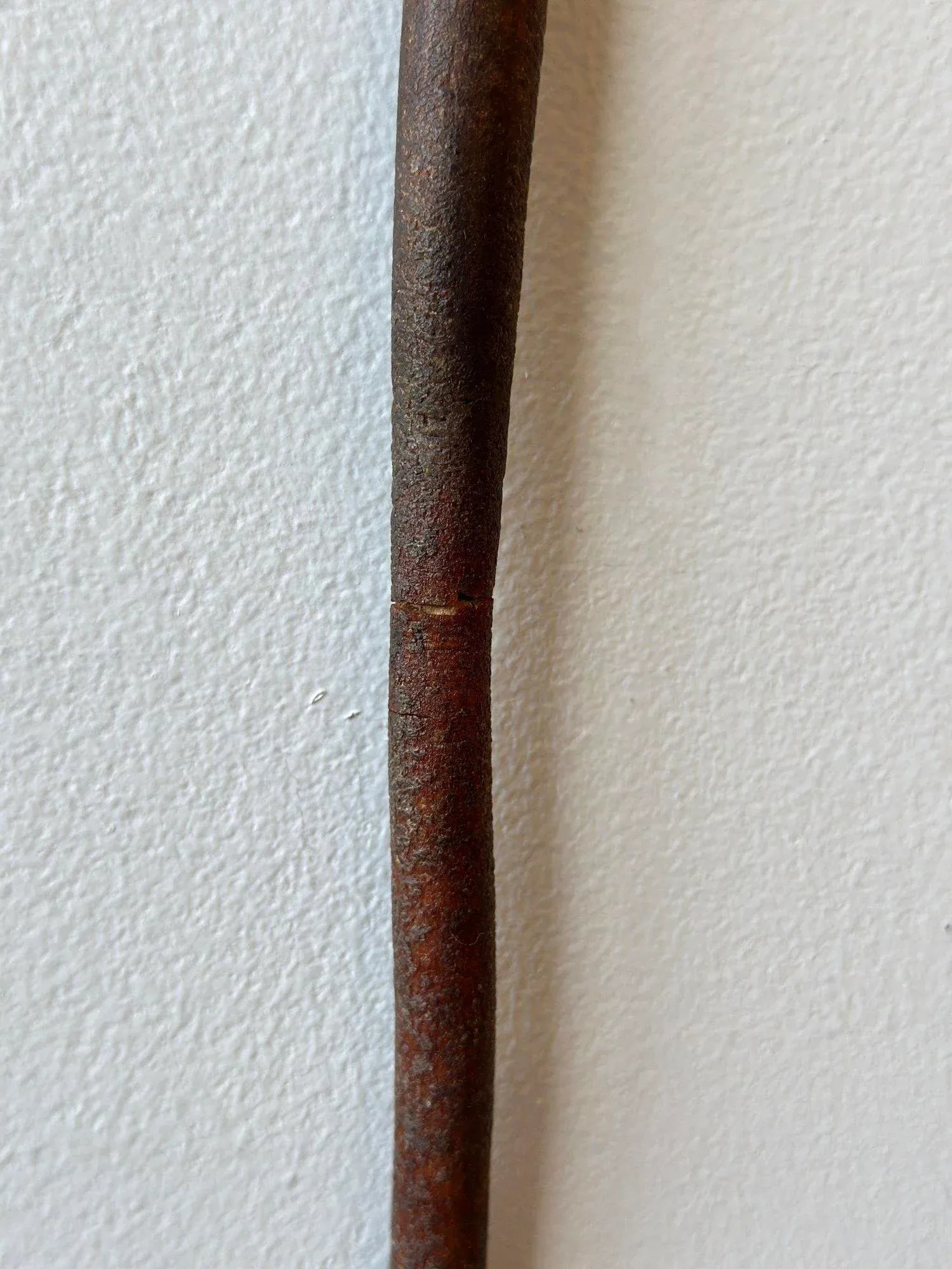 Antique Tooled Pizzle Leather Dog/Seal Riding Crop, Circa 19th Century - 11