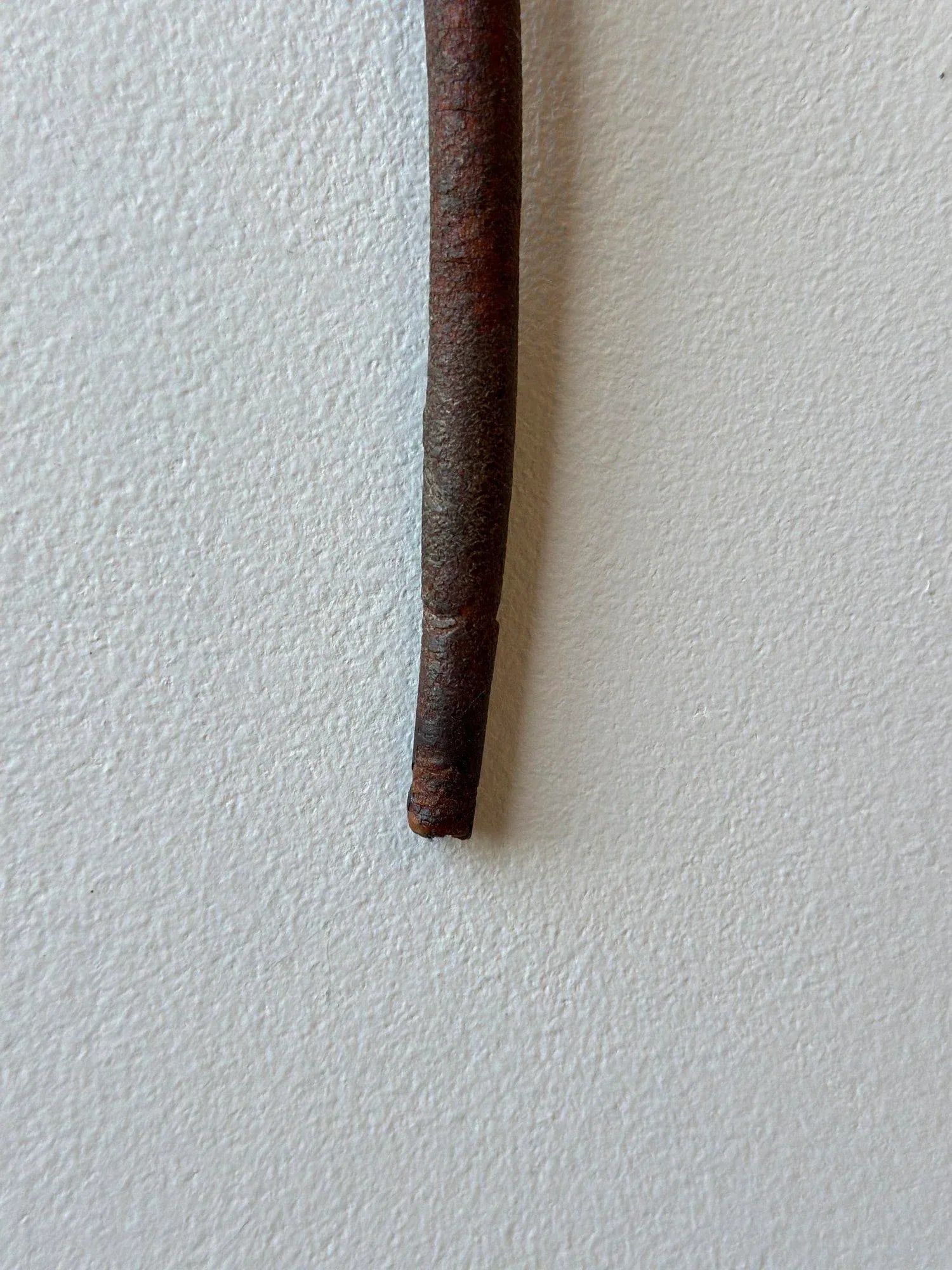 Antique Tooled Pizzle Leather Dog/Seal Riding Crop, Circa 19th Century - 12