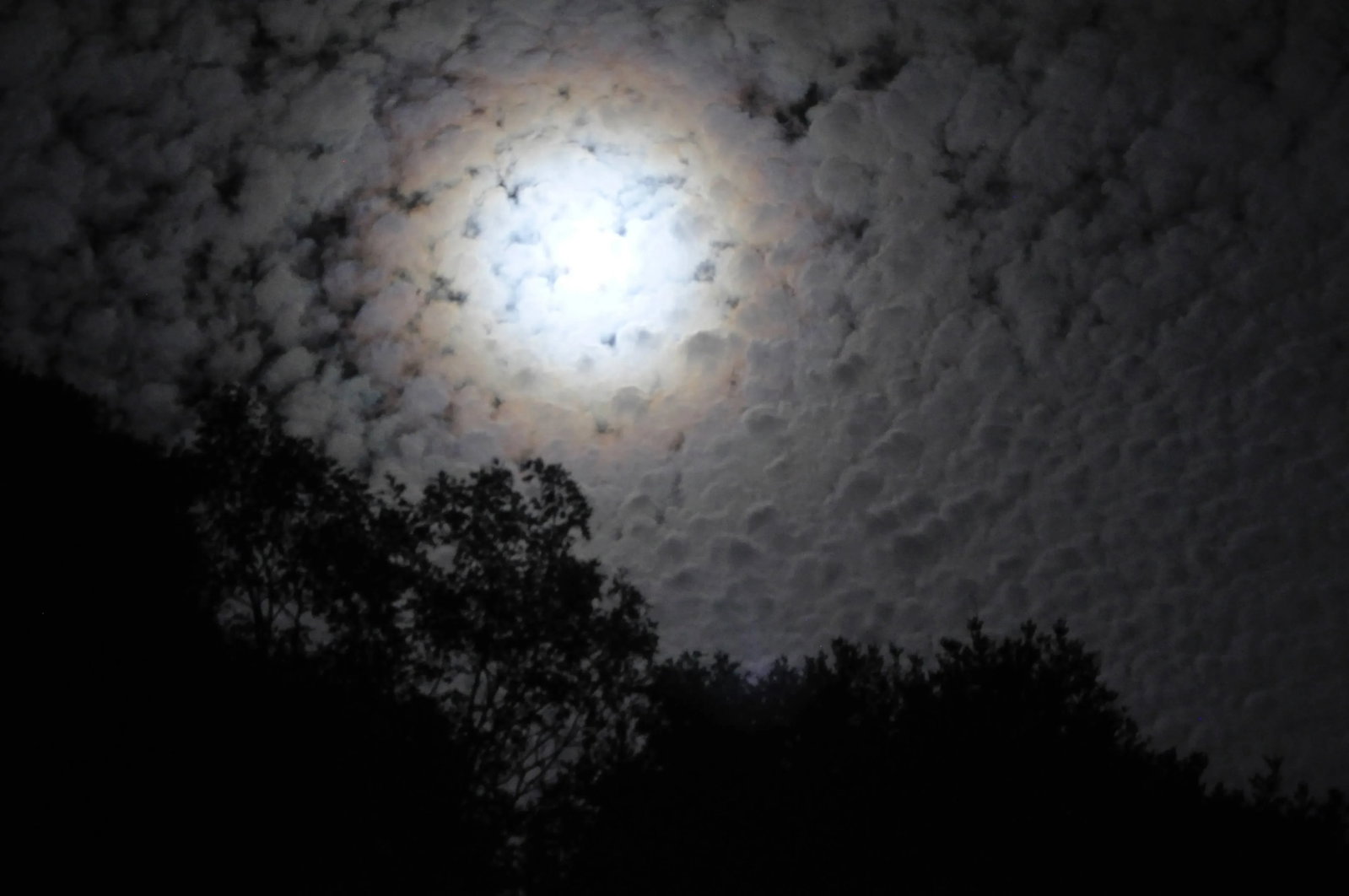 Gaetan Caron "Clair De Lune (Moonlight)" Mendocino, Ca Photograph, 2012: Please allow at least 14 days for printing and framing before a piece is shipped. Entitled "Clair de Lune (Moonlight)", this 2012 archival photograph on Hahnemuhle Fine Art Pearl paper is by contempor