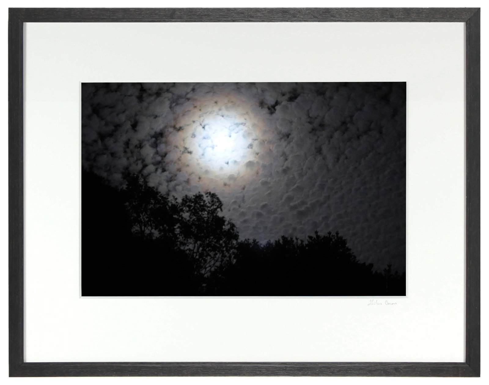 Gaetan Caron "Clair De Lune (Moonlight)" Mendocino, Ca Photograph, 2012 - 4