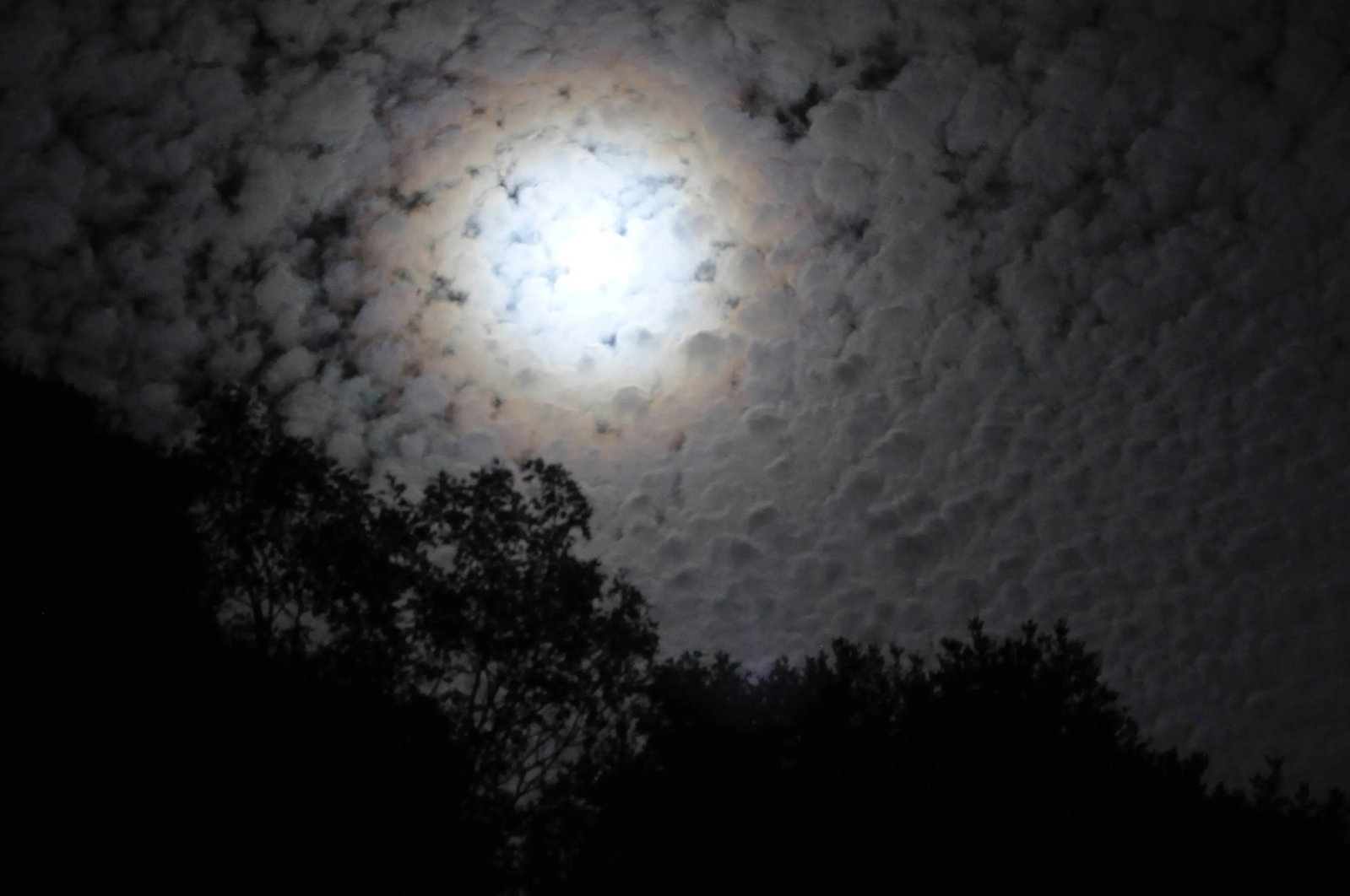 Gaetan Caron "Clair De Lune (Moonlight)" Mendocino, Ca Photograph, 2012 - 5