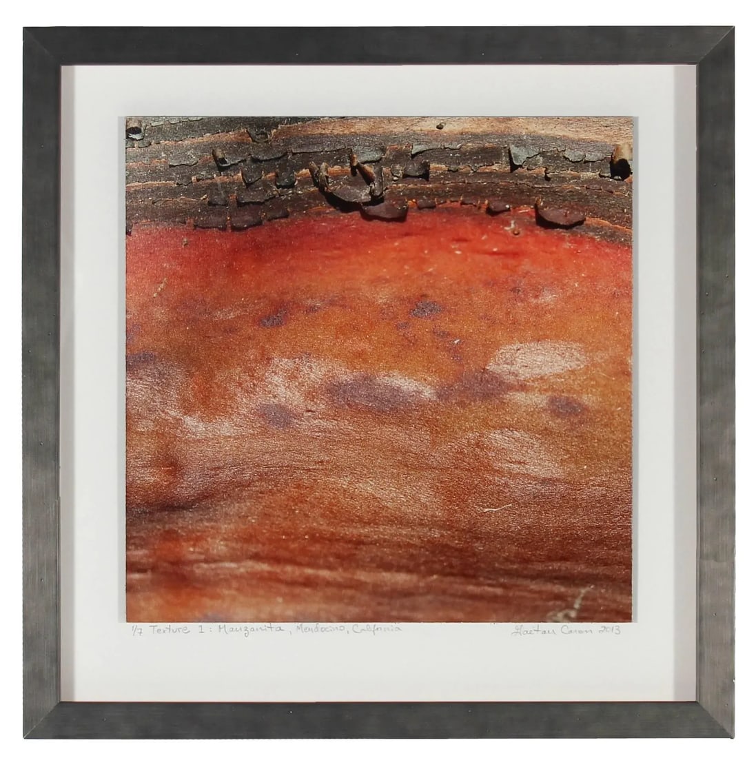 Gaetan Caron "Texture 1: Manzanita" Framed Mendocino Photograph, 2013 2013 - 3