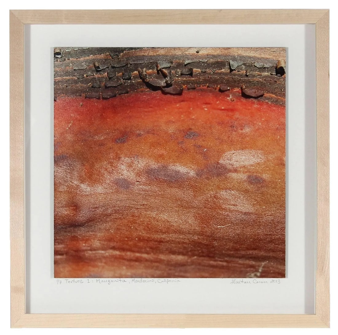 Gaetan Caron "Texture 1: Manzanita" Framed Mendocino Photograph, 2013 2013 - 4