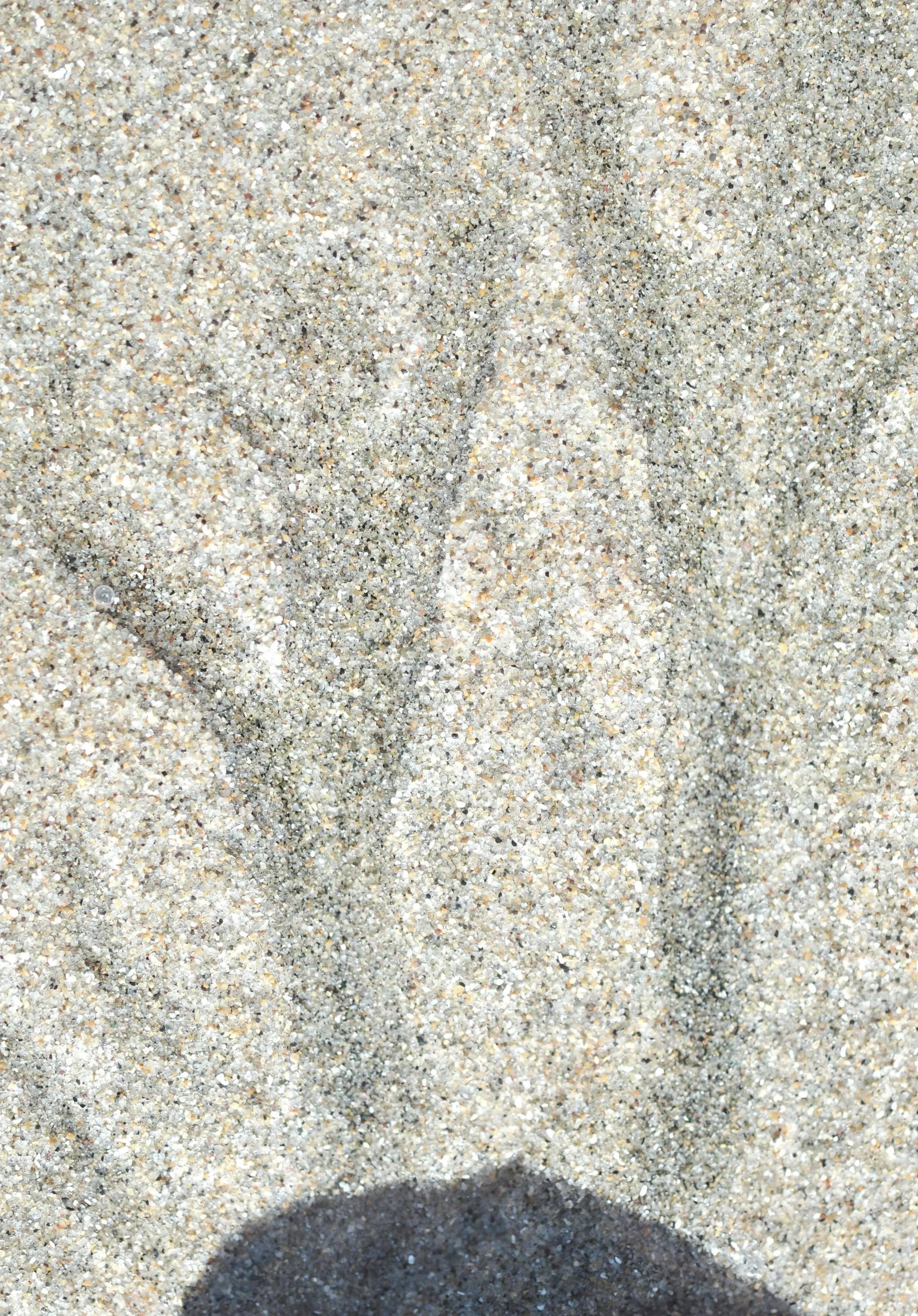 Gaetan Caron "Ano Nuevo" Abstract Sand Photograph, Mendocino, California, 2013 2013 - 7