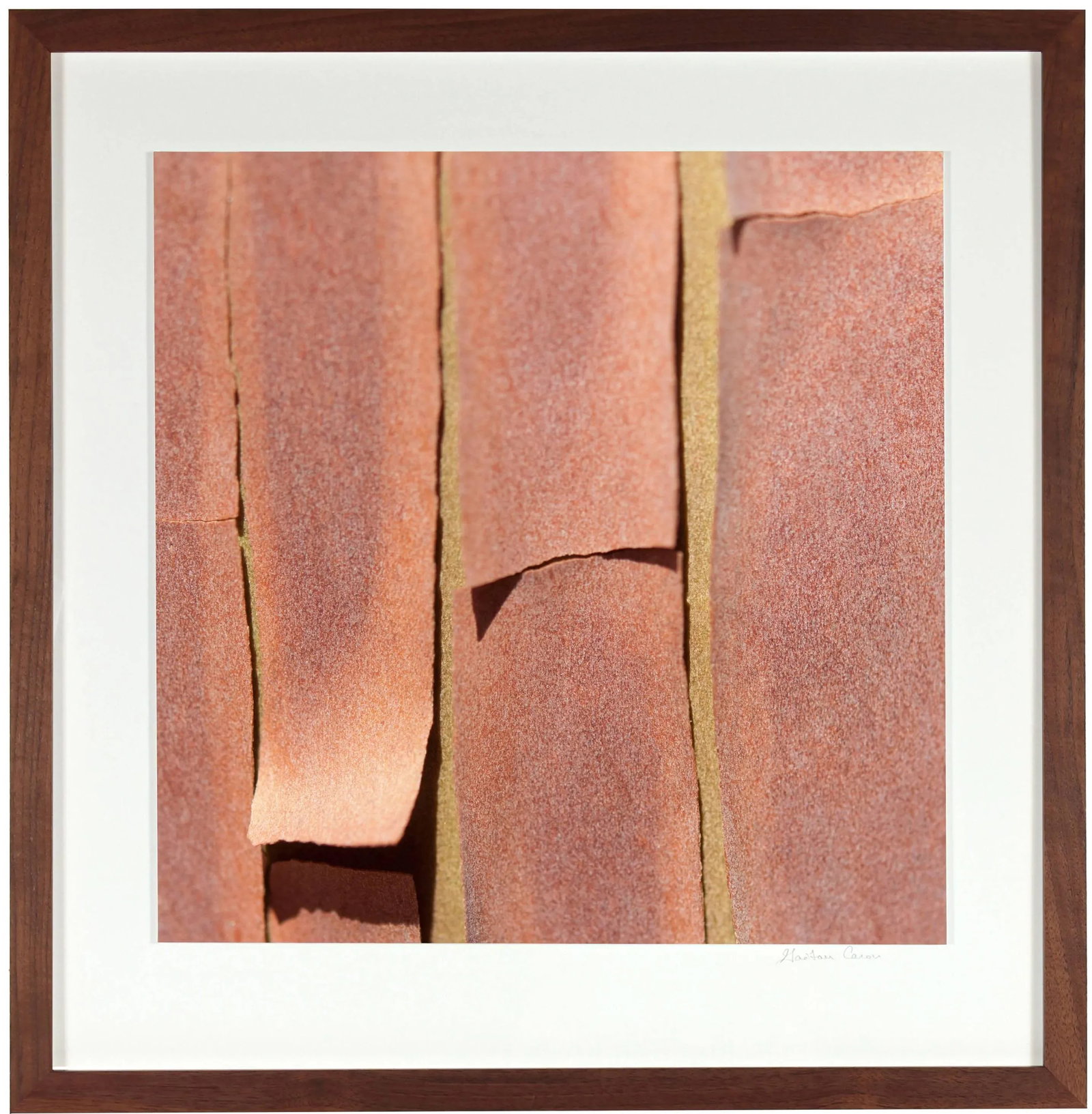 Gaetan Caron "Texture 5: Madrone Bark" Mendocino, California 2014 - 3