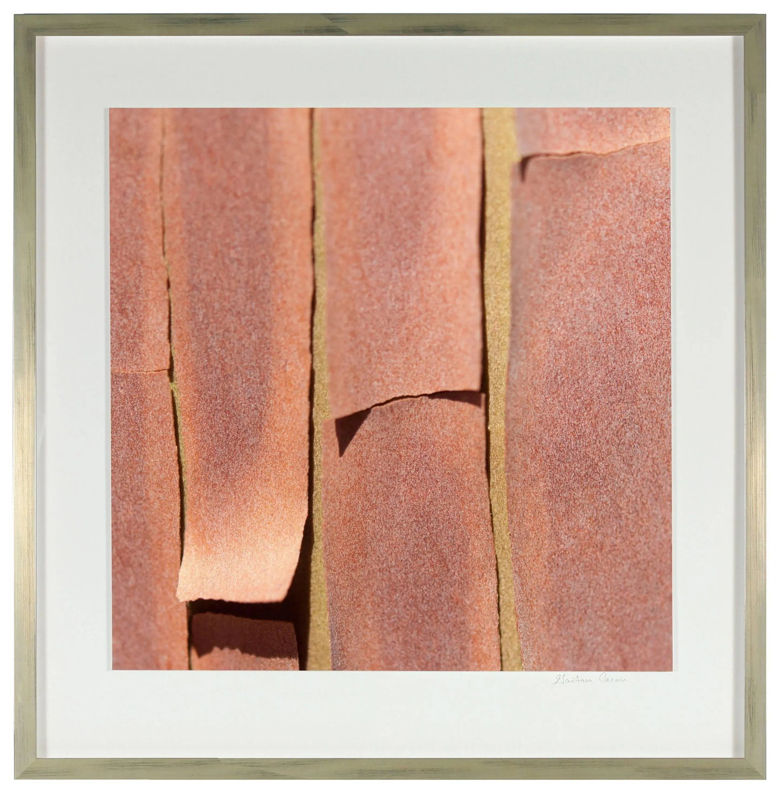 Gaetan Caron "Texture 5: Madrone Bark" Mendocino, California 2014 - 4