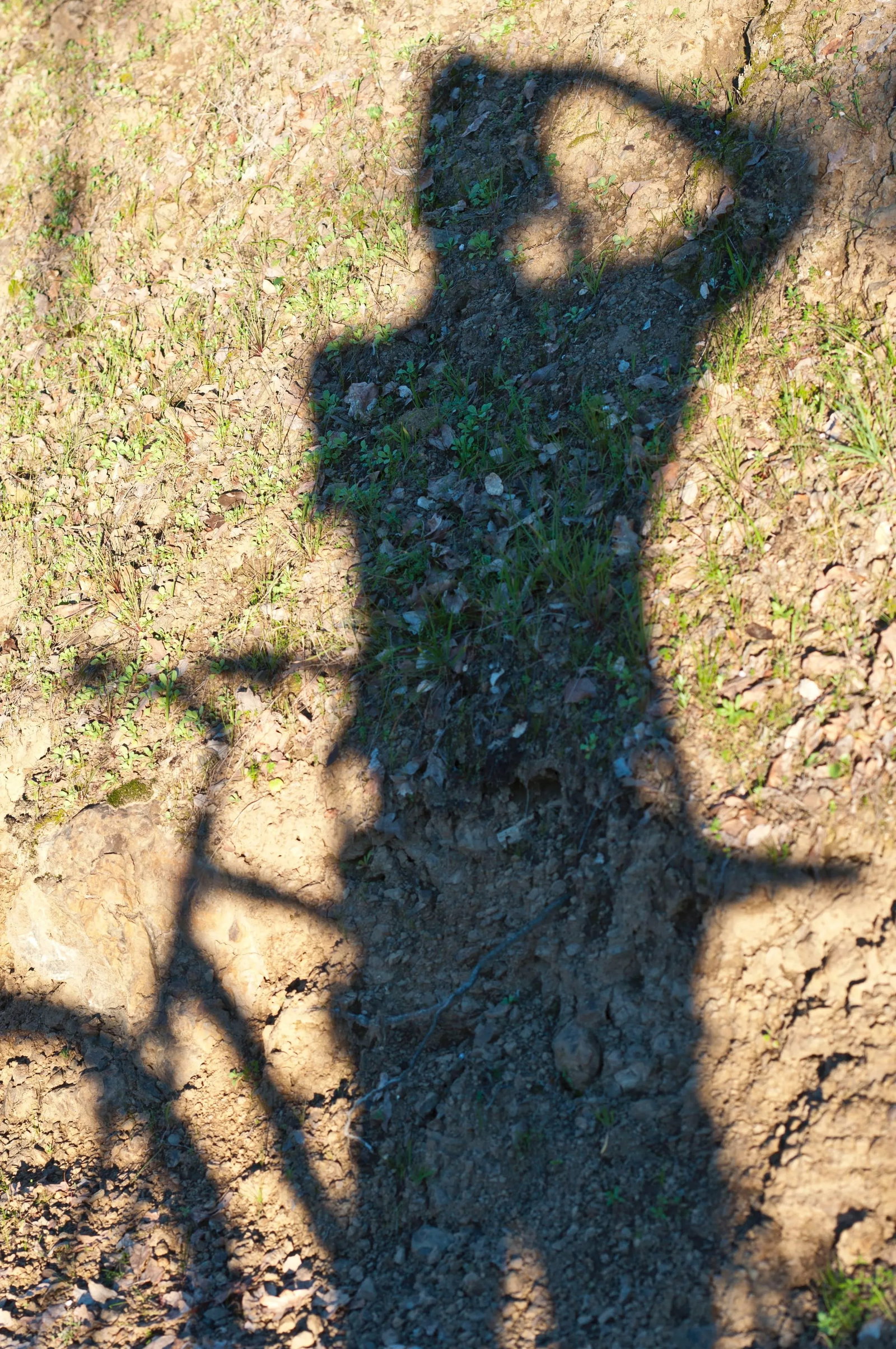 Gaetan Caron "A Velo- Auto Portrait" (Self-Portrait With Bicycle), 2015 2015 - 3