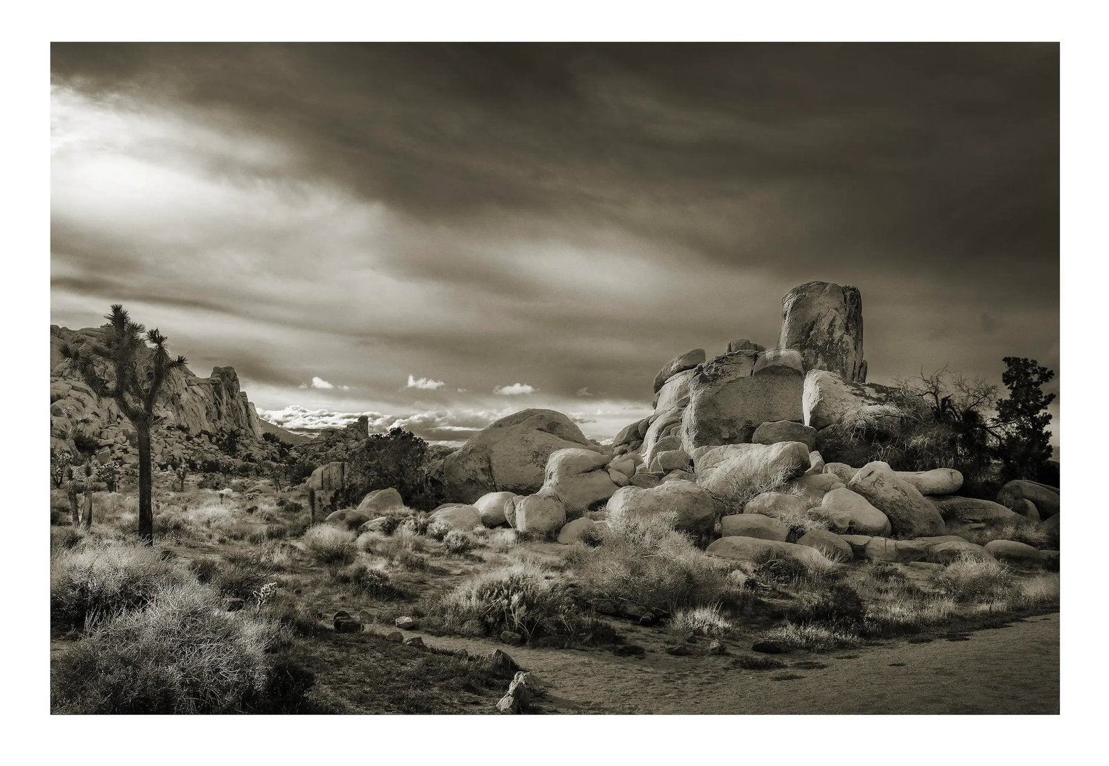 42" Signed Limited Edition Photographic Print by Glenn Daidone / Desertscape / Landscape / Black and: This is a limited edition photographic print, signed by the artist. The edition is limited to 10. The image is printed on a toothy watercolor vellum that absorbs the ink and produces rich, luscious to