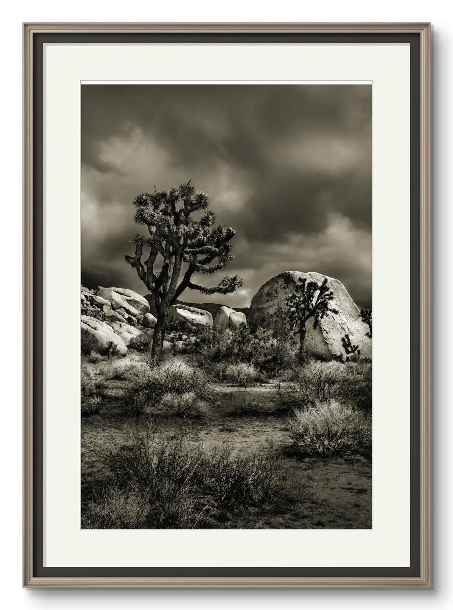 42" Glenn Daidone Signed Imited Edition Photographic Print / Desertscape / Joshua - 2