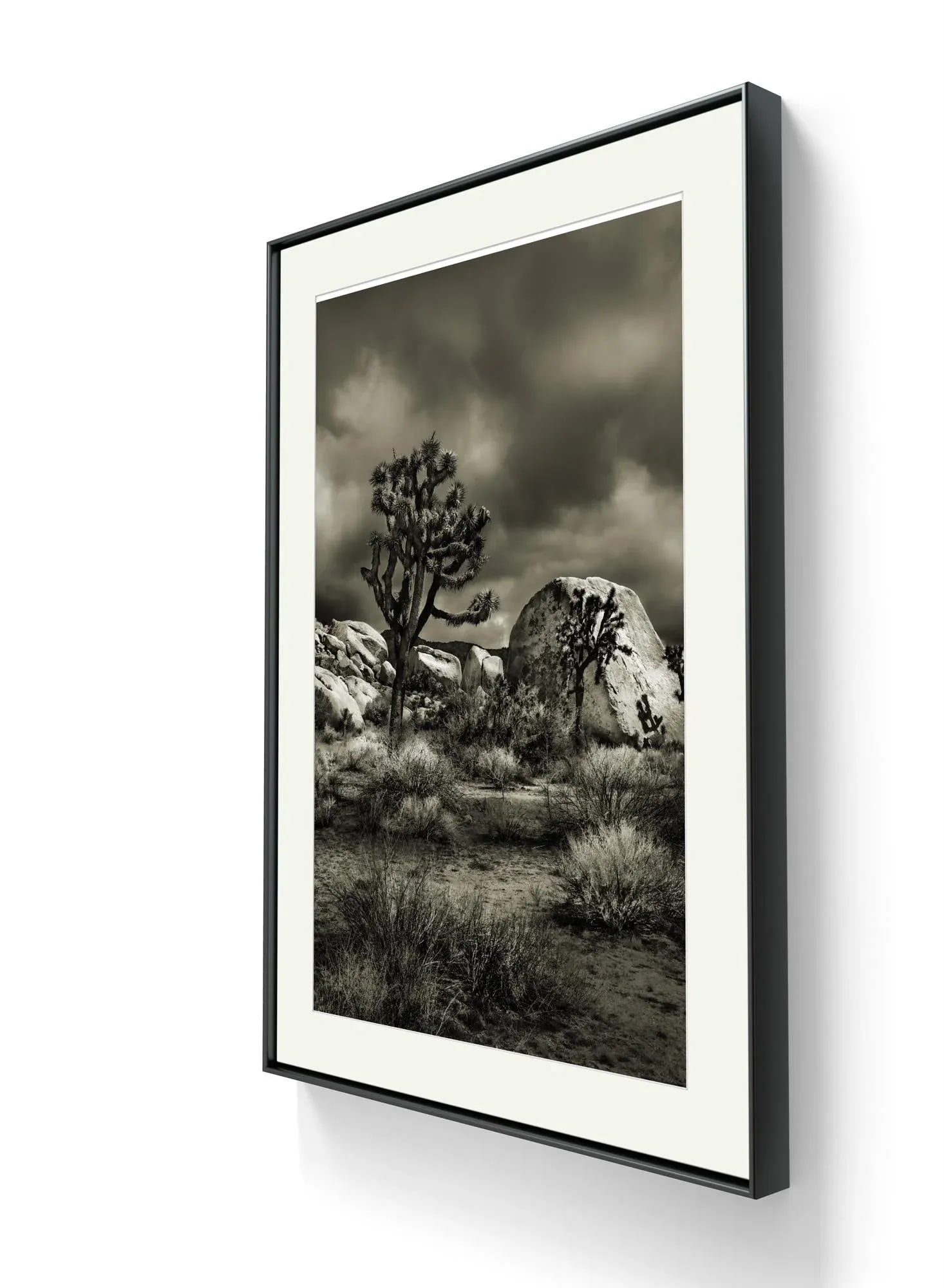 42" Glenn Daidone Signed Imited Edition Photographic Print / Desertscape / Joshua - 3