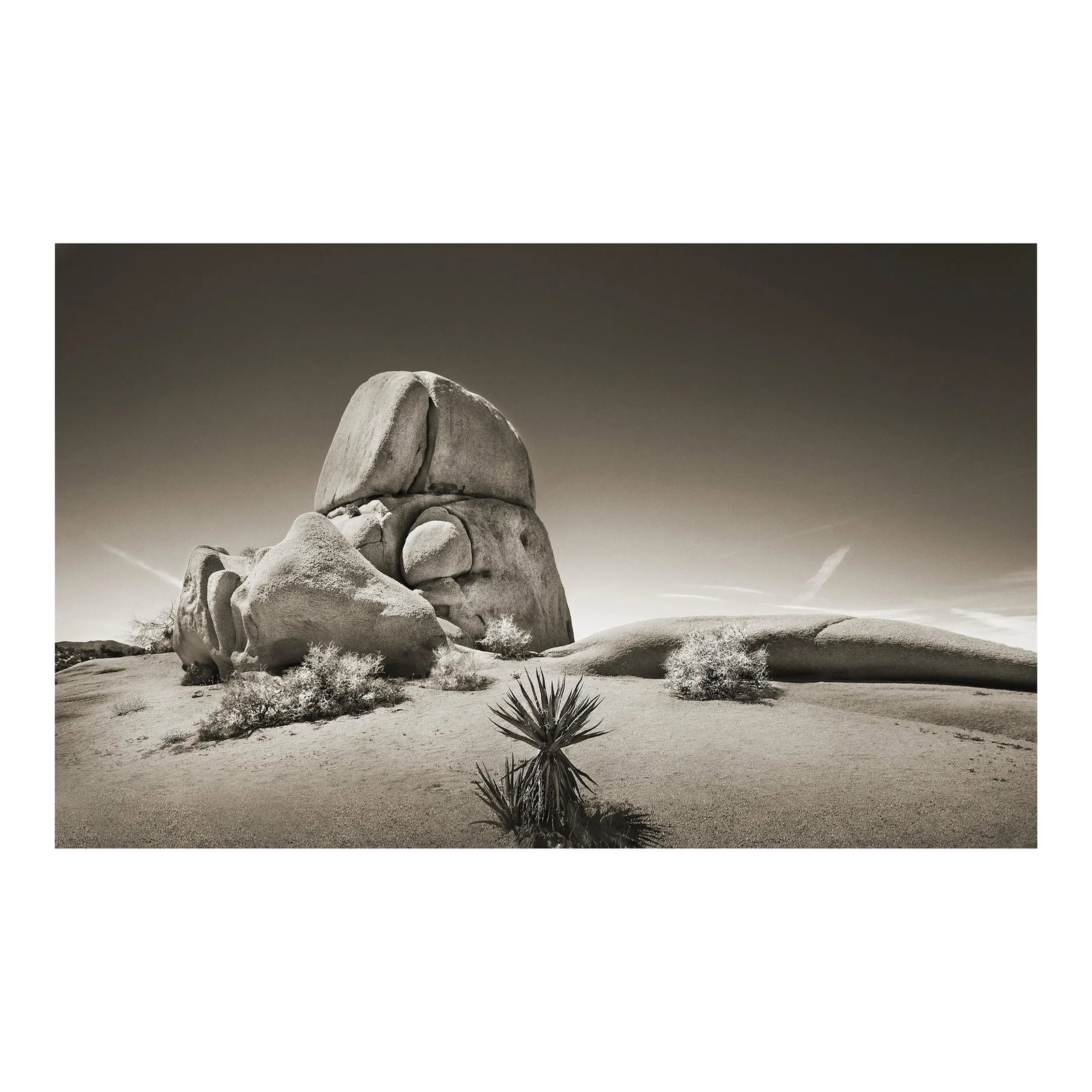 42" Signed Limited Edition Print by Glenn Daidone / Desertscape / Lunar: This is a made to order, signed, limited edition, sepia toned photographic print from an edition of 10. It is printed on a toothy watercolor vellum that absorbs the ink creating rich, luscious tones. 