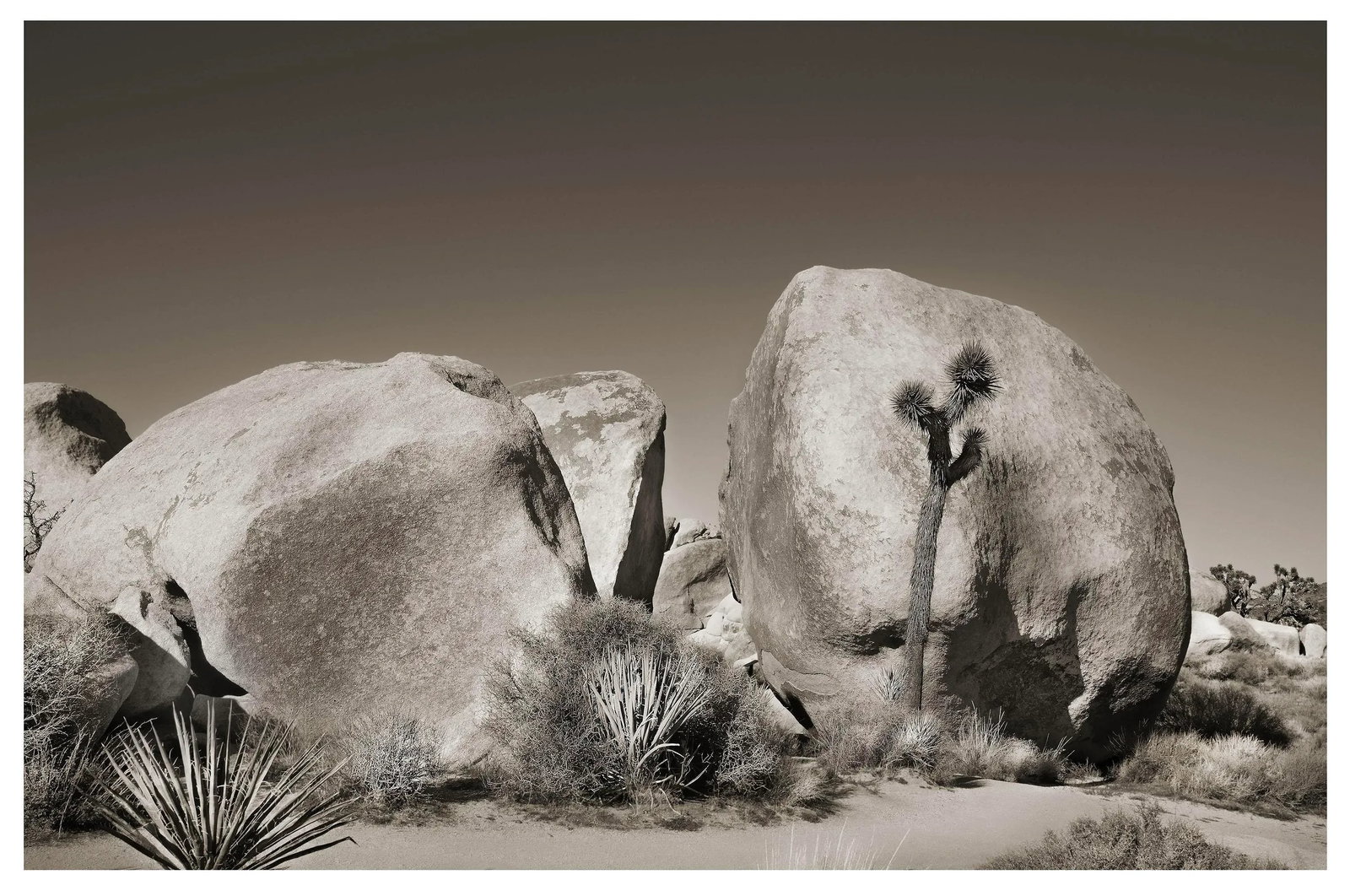 42" Signed Original Photograph by Glenn Daidone. Limited Edition Print on Archival Paper. Oceanscape: This is a signed photographic print from an edition number of 10. It is printed on a toothy watercolor vellum that absorbs the ink creating rich luscious tones. It is hand signed and numbered and