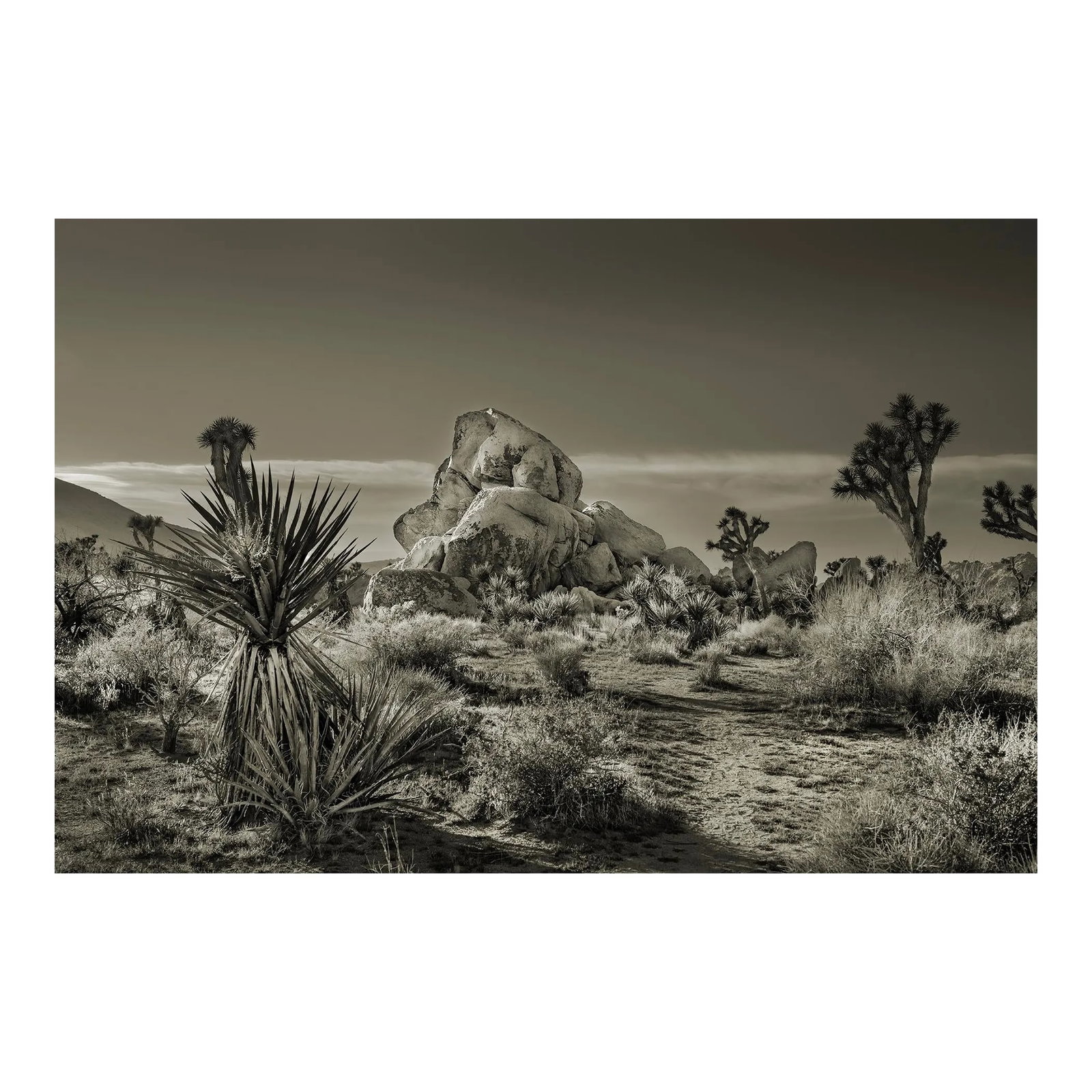 42" Glenn Daidone Signed, Limited Edition Photographic Print / Desertscape / White Rock: This is a signed print in an edition of 10. It is printed on a toothy watercolor vellum that absorbs the ink and creates rich, luscious tones. Condition: Imperfections: No Imperfections Condition