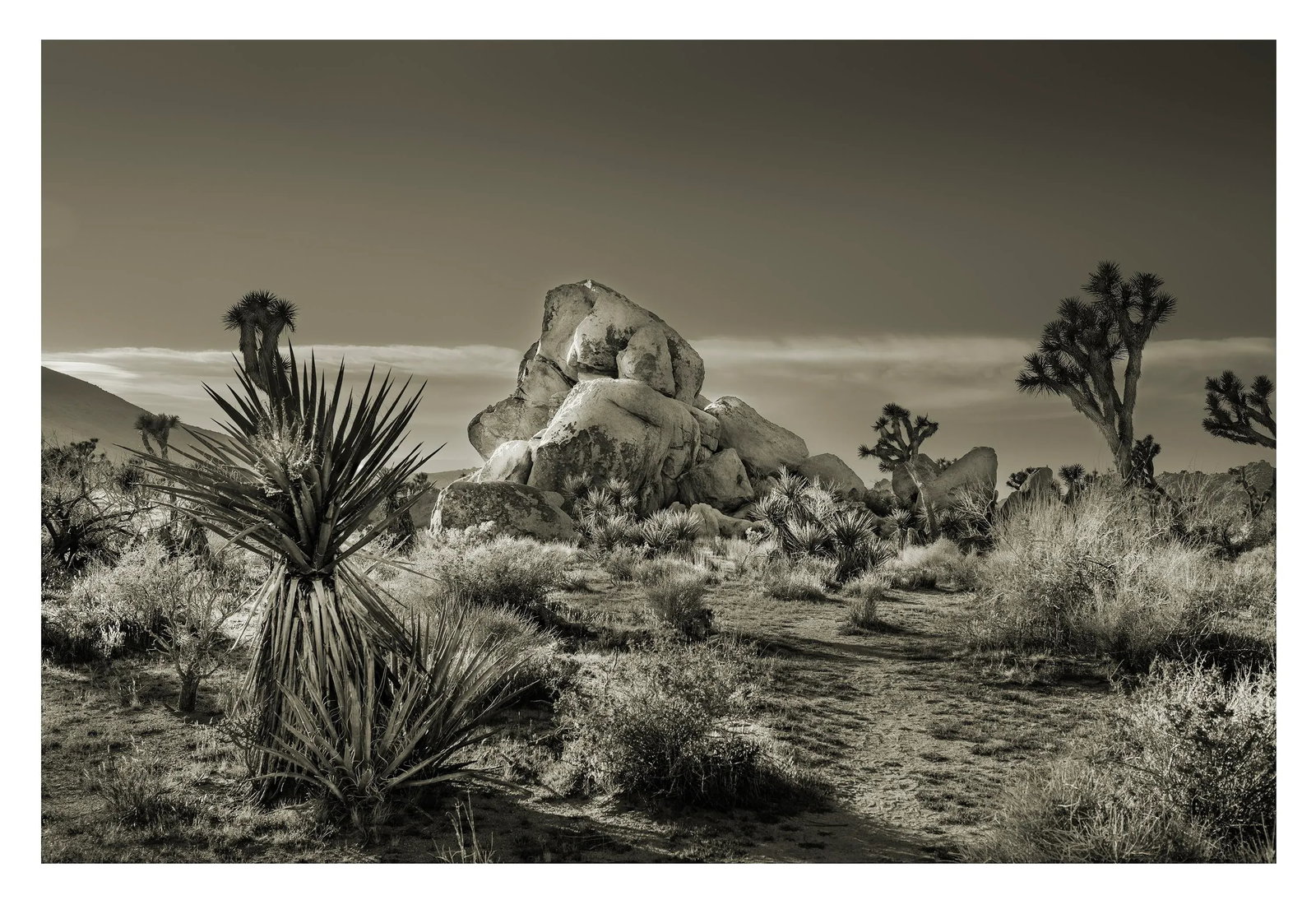 42" Glenn Daidone Signed, Limited Edition Photographic Print / Desertscape / White Rock - 2