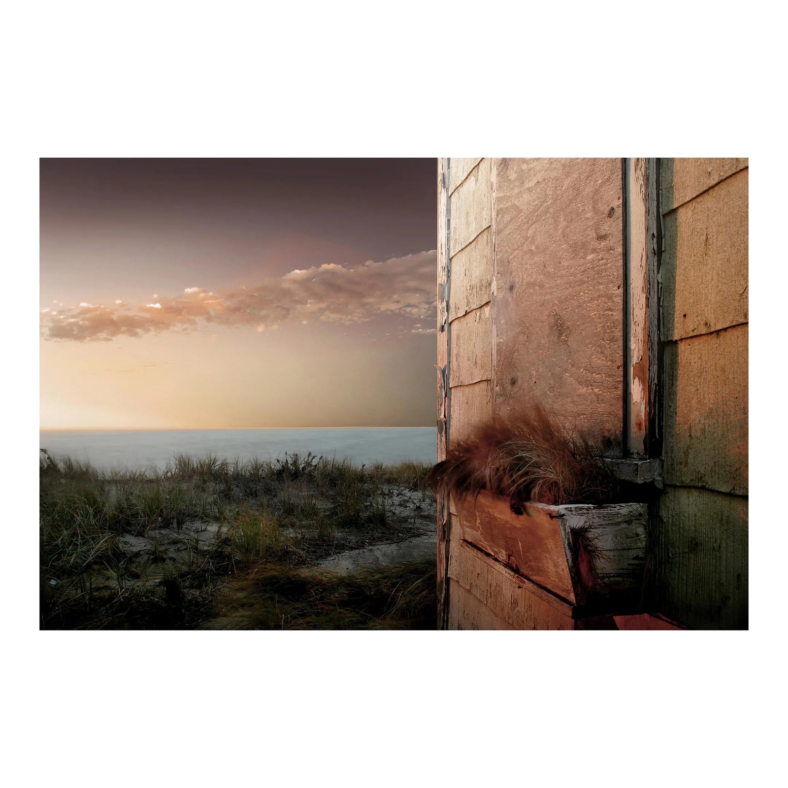 42" Signed Original Photograph by Glenn Daidone. Limited Edition Print on Archival Paper. Oceanscape: This is a photograph printed a toothy watercolor vellum. The paper absorbs the ink creating rich, luscious tones. This is printed in an edition of 10 The warm hues of pink and orange in this photo