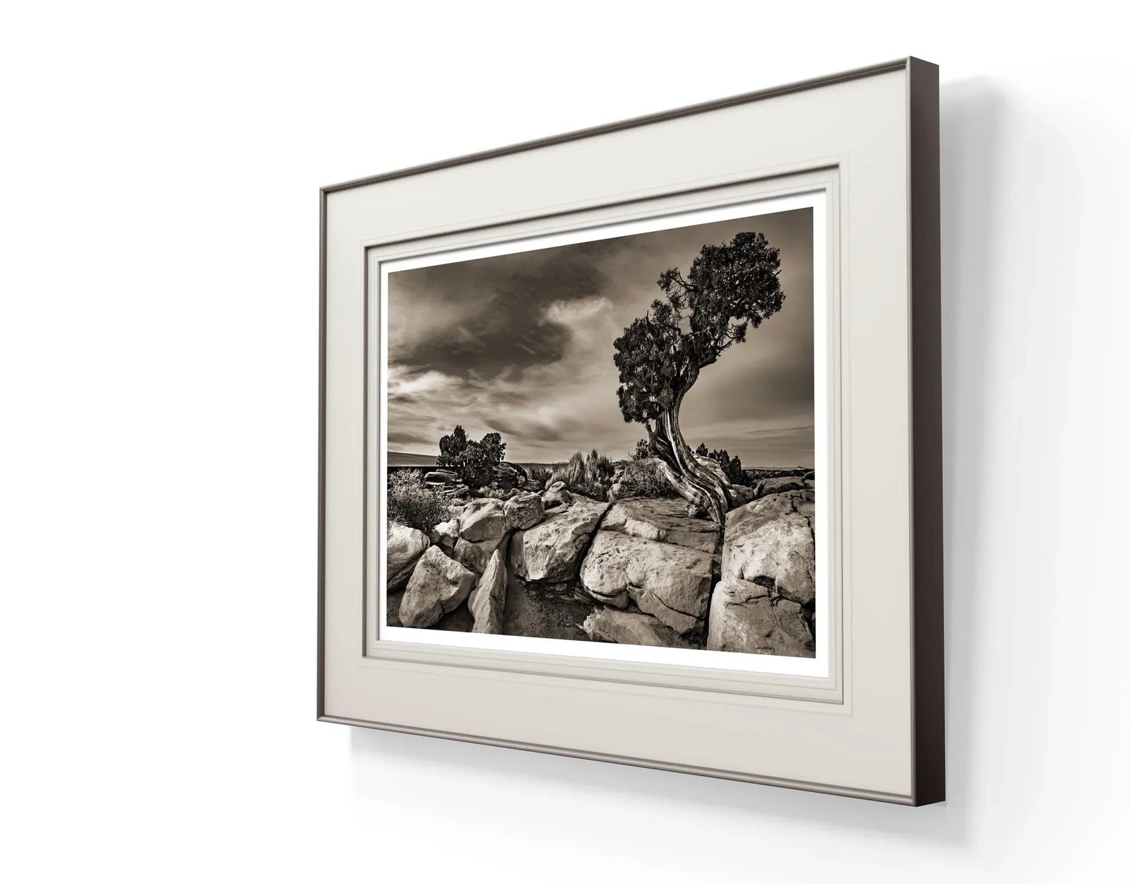 42" Signed, Limited Edition Photographic Print by Glenn Daidone / Desertscape / Landscape / Black an - 3