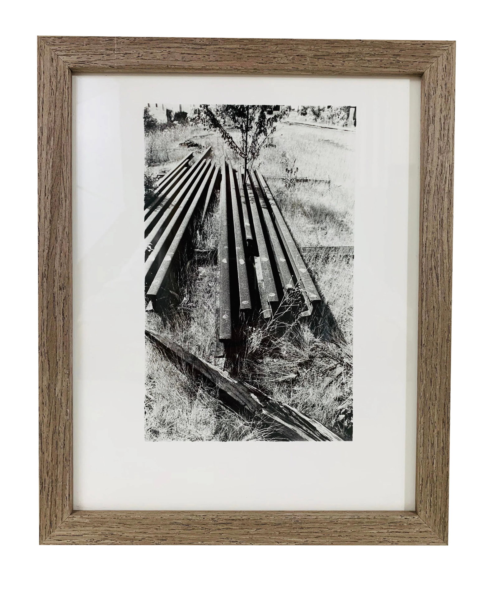 Landscape Photograph by Joseph Buemi: Still life black and white fine art silver gelatin photograph. Stamped Joseph Buemi and dated 1987. Print measures 8" x 10" and is framed and ready to hang. About the Photographer: Joseph Buemi
