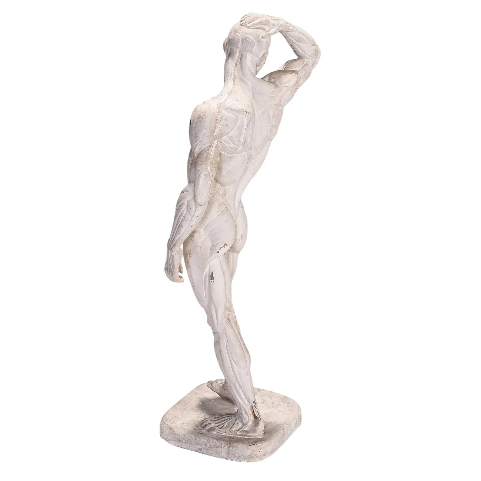 Male Ecorche Sculptures by Brenda Putnam, C. 1939 - 10