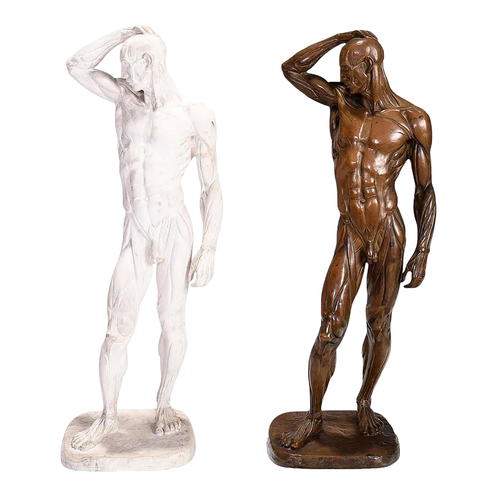 Male Ecorche Sculptures by Brenda Putnam, C. 1939: This rare pair of ecorche sculptures by renowned American sculptor Brenda Putnam (1890-1975) offers a fascinating glimpse into both artistic process and anatomical study. Dating to 1939, the collectio