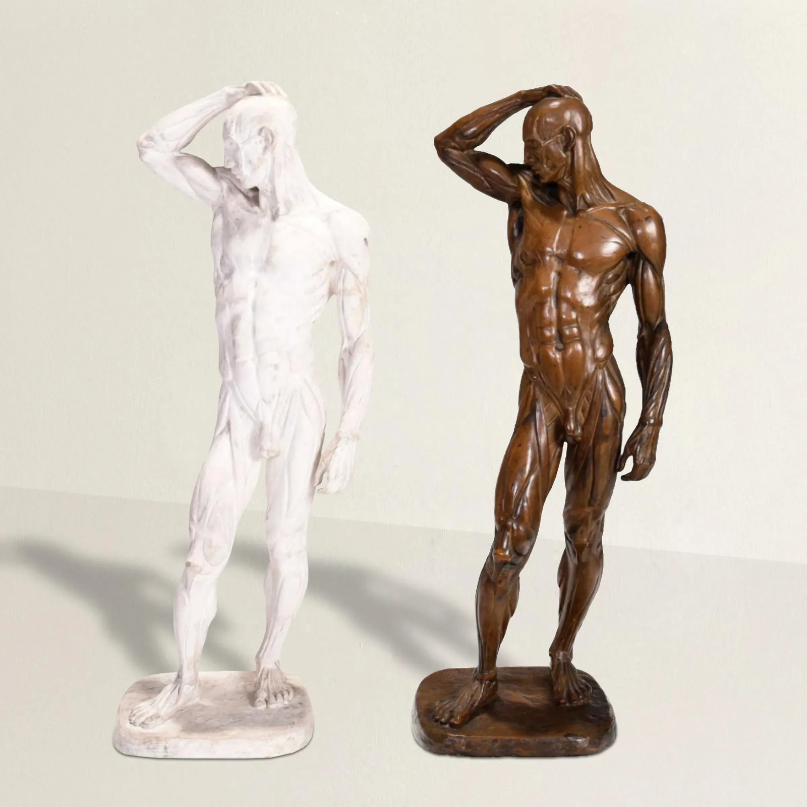 Male Ecorche Sculptures by Brenda Putnam, C. 1939 - 2