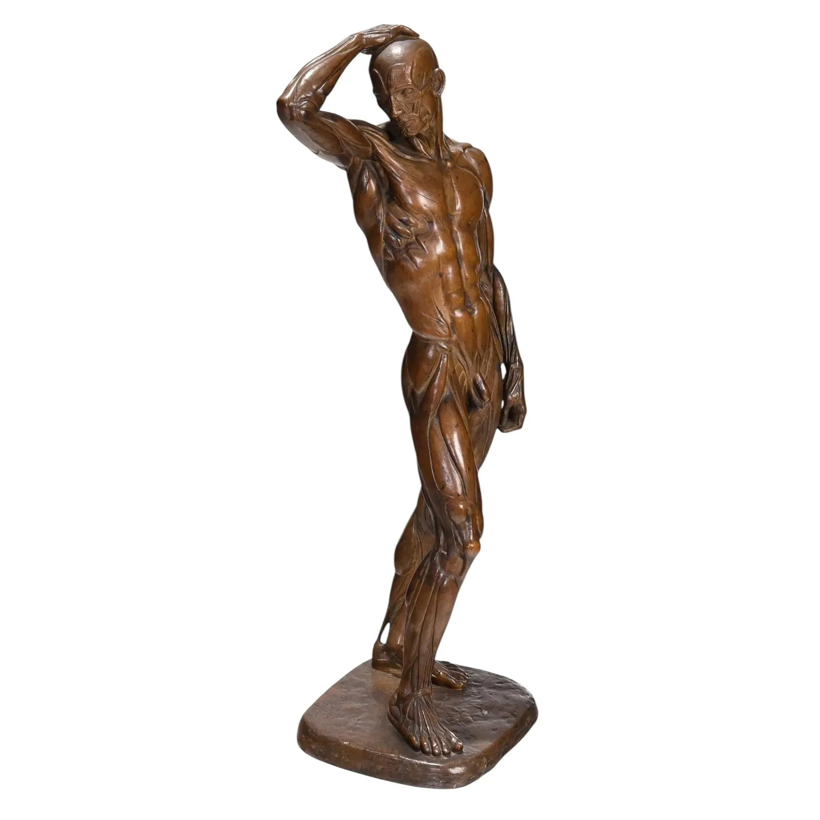 Male Ecorche Sculptures by Brenda Putnam, C. 1939 - 4