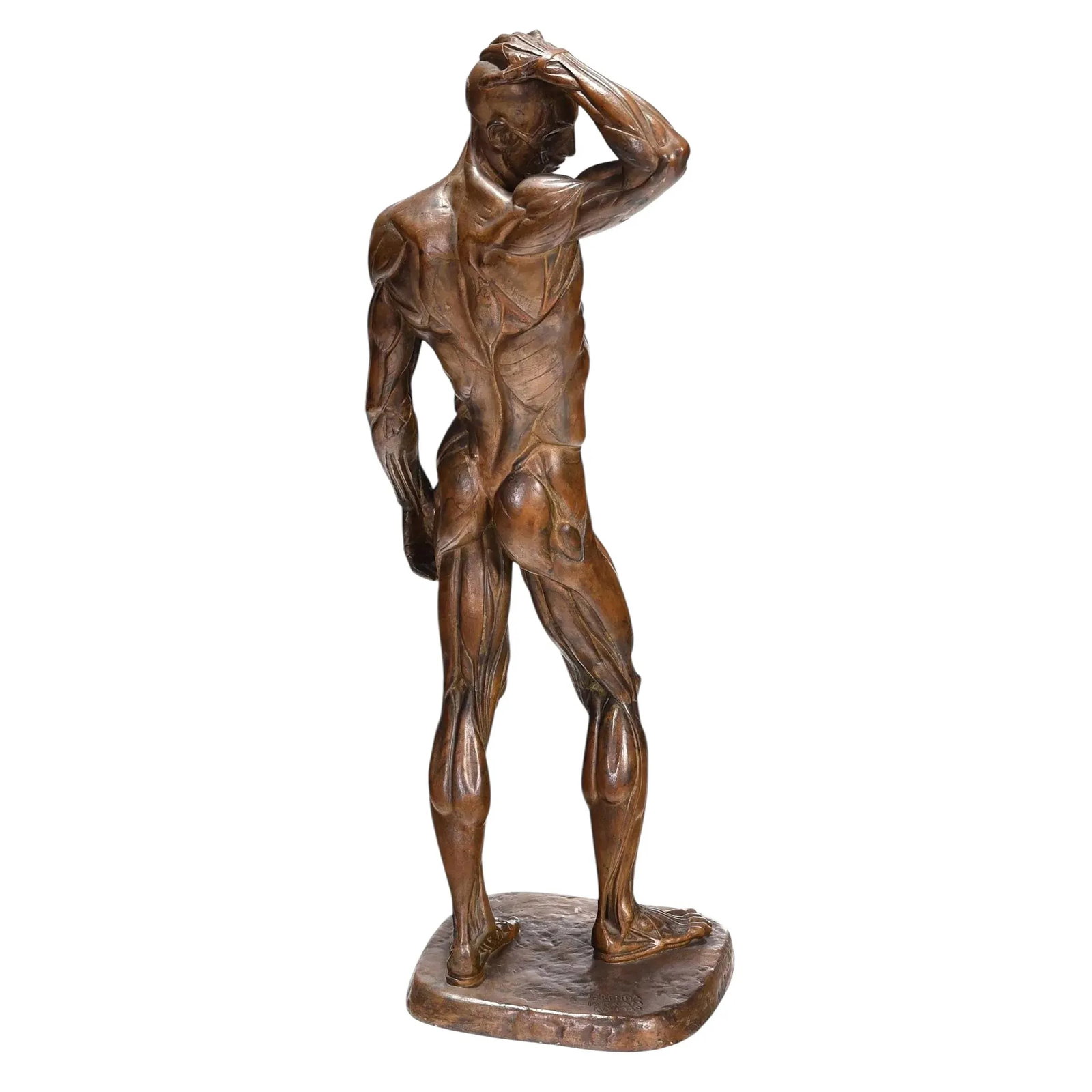 Male Ecorche Sculptures by Brenda Putnam, C. 1939 - 5