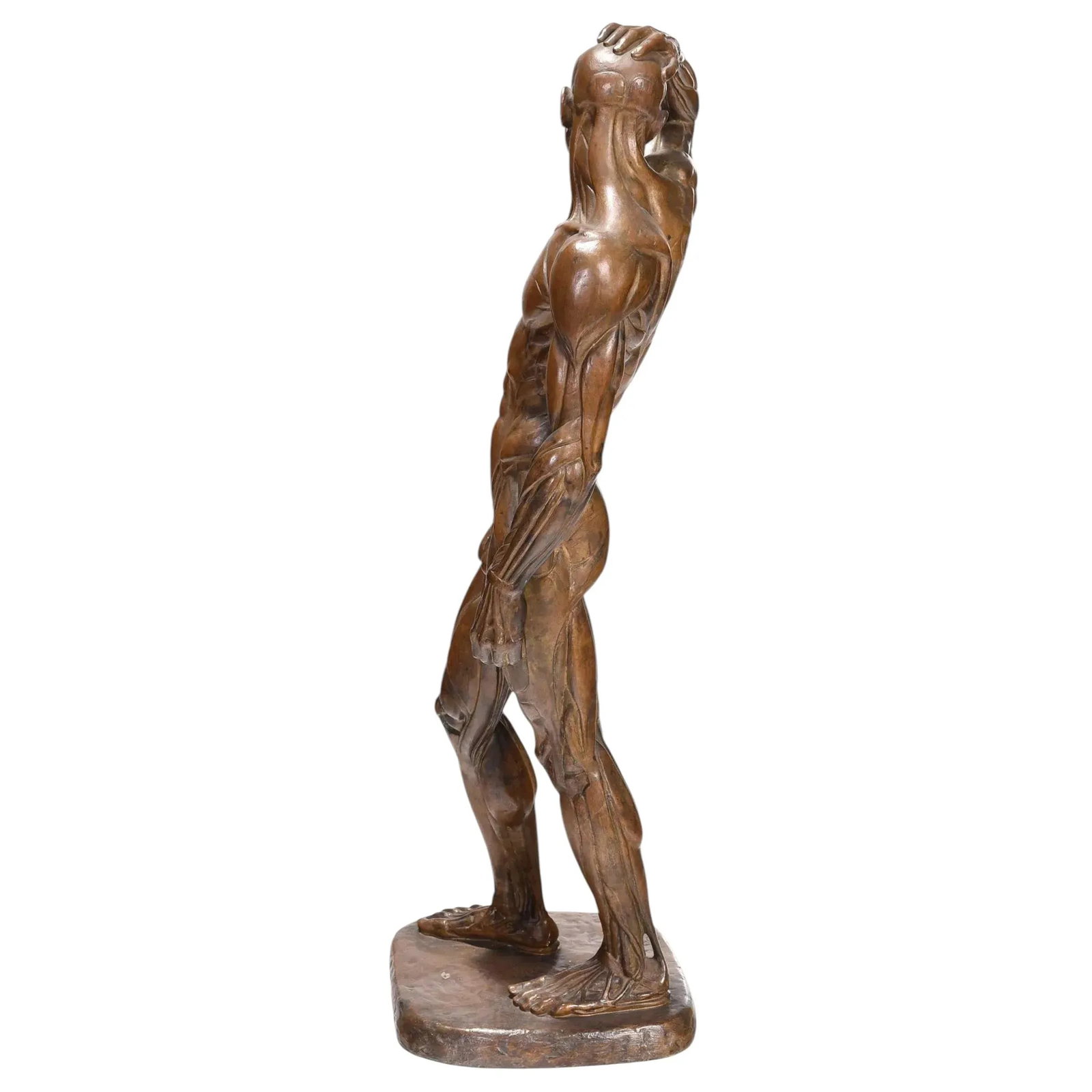 Male Ecorche Sculptures by Brenda Putnam, C. 1939 - 6