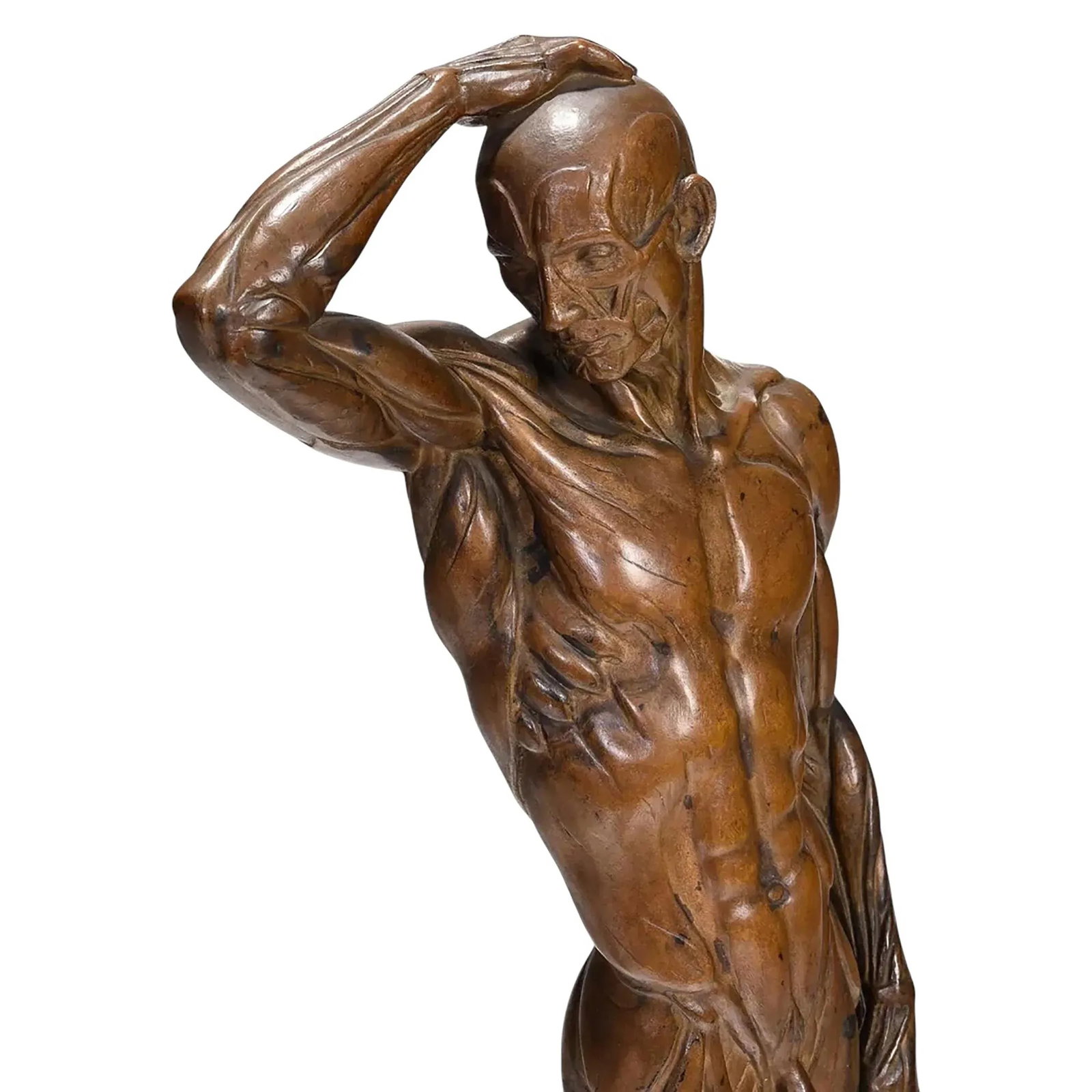 Male Ecorche Sculptures by Brenda Putnam, C. 1939 - 7