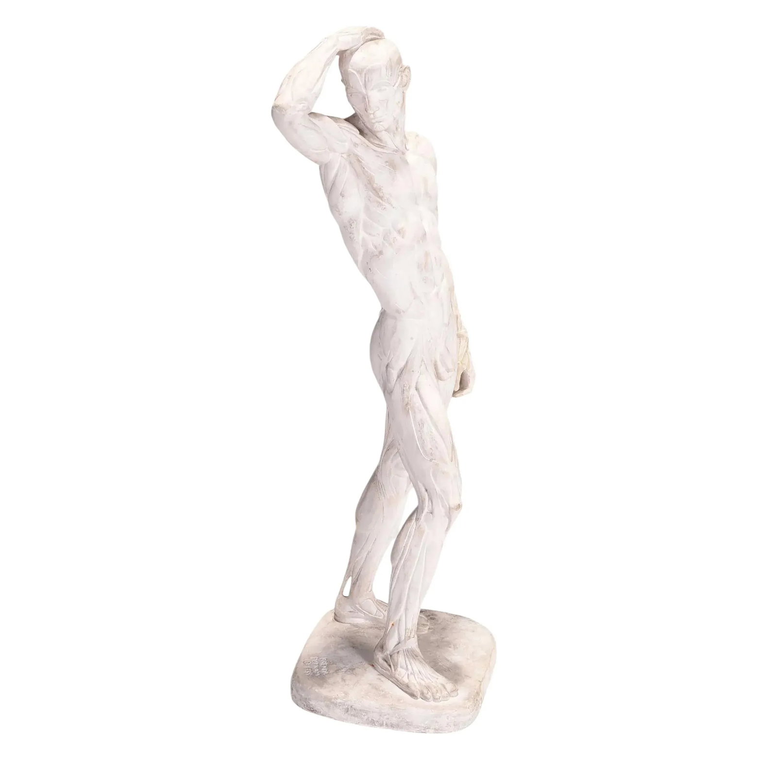 Male Ecorche Sculptures by Brenda Putnam, C. 1939 - 8