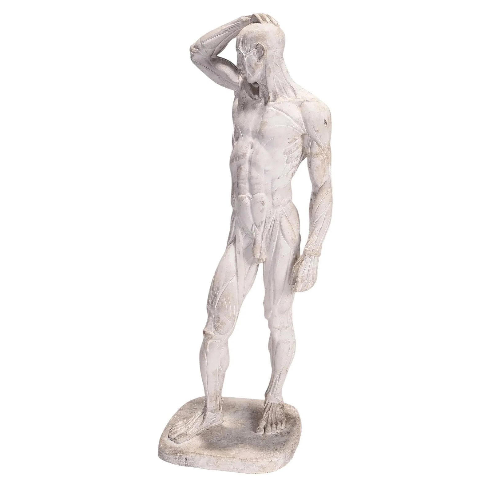 Male Ecorche Sculptures by Brenda Putnam, C. 1939 - 9
