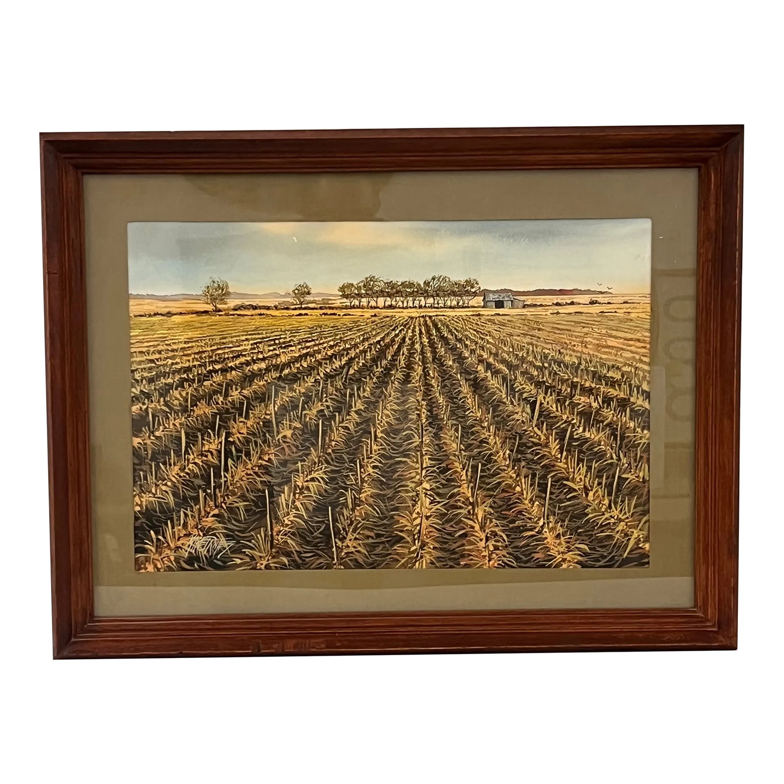 Vintage Mid CenturyTraditional Watercolor Painting of Scenic Landscape Signed by Mike Danetz: The watercolor painting depicts a serene agricultural landscape with neatly arranged rows of crops extending toward the horizon. The fields are rendered in warm, earthy tones, capturing the texture of