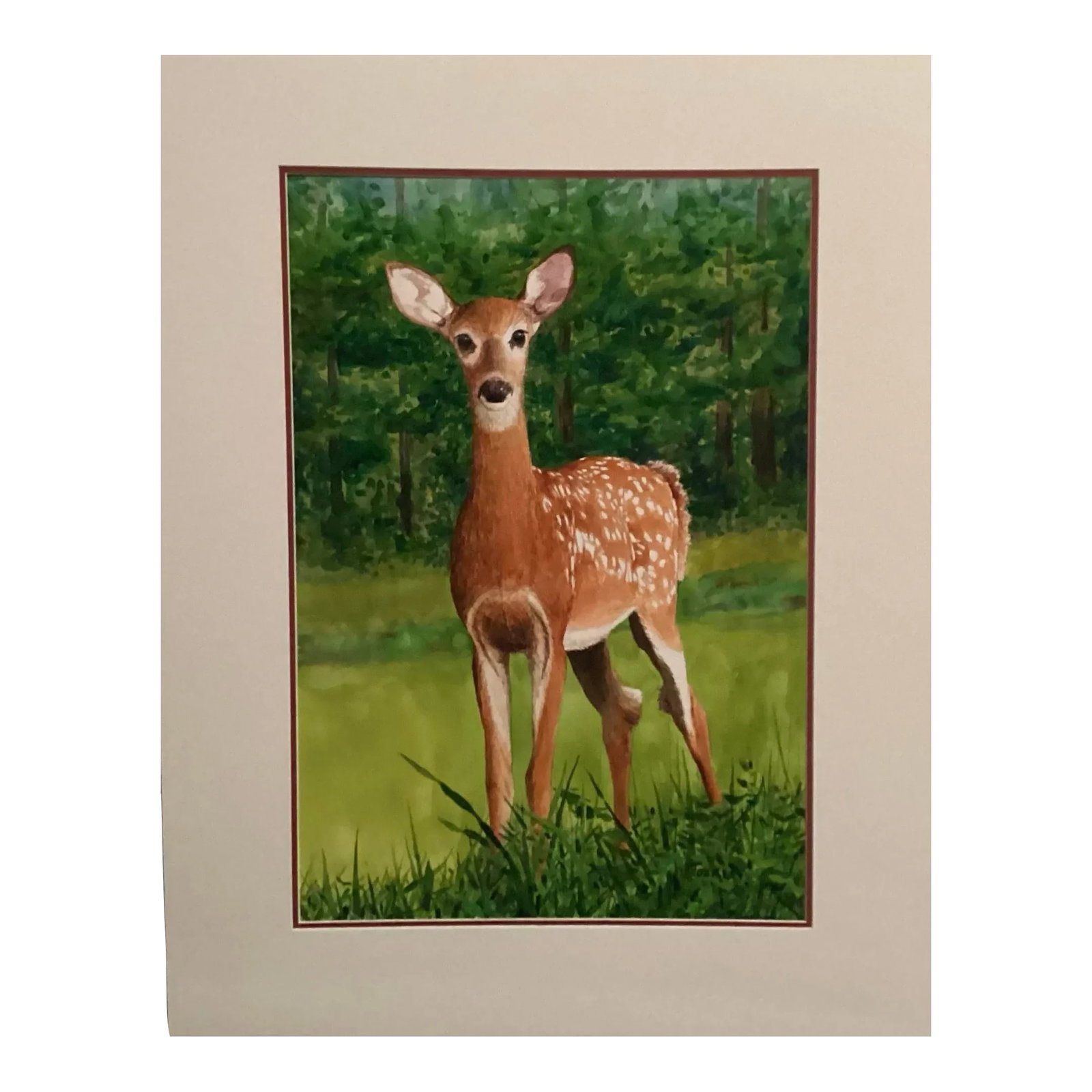 Original Watercolor, by William Tockes." Little Bambino", Signed by artist: Magnificent painting of a little fawn seen by W. Tockes one spring. He was so inspired he created "Little Bambino". This baby deer is seen in many different ways but this is an original painting. The