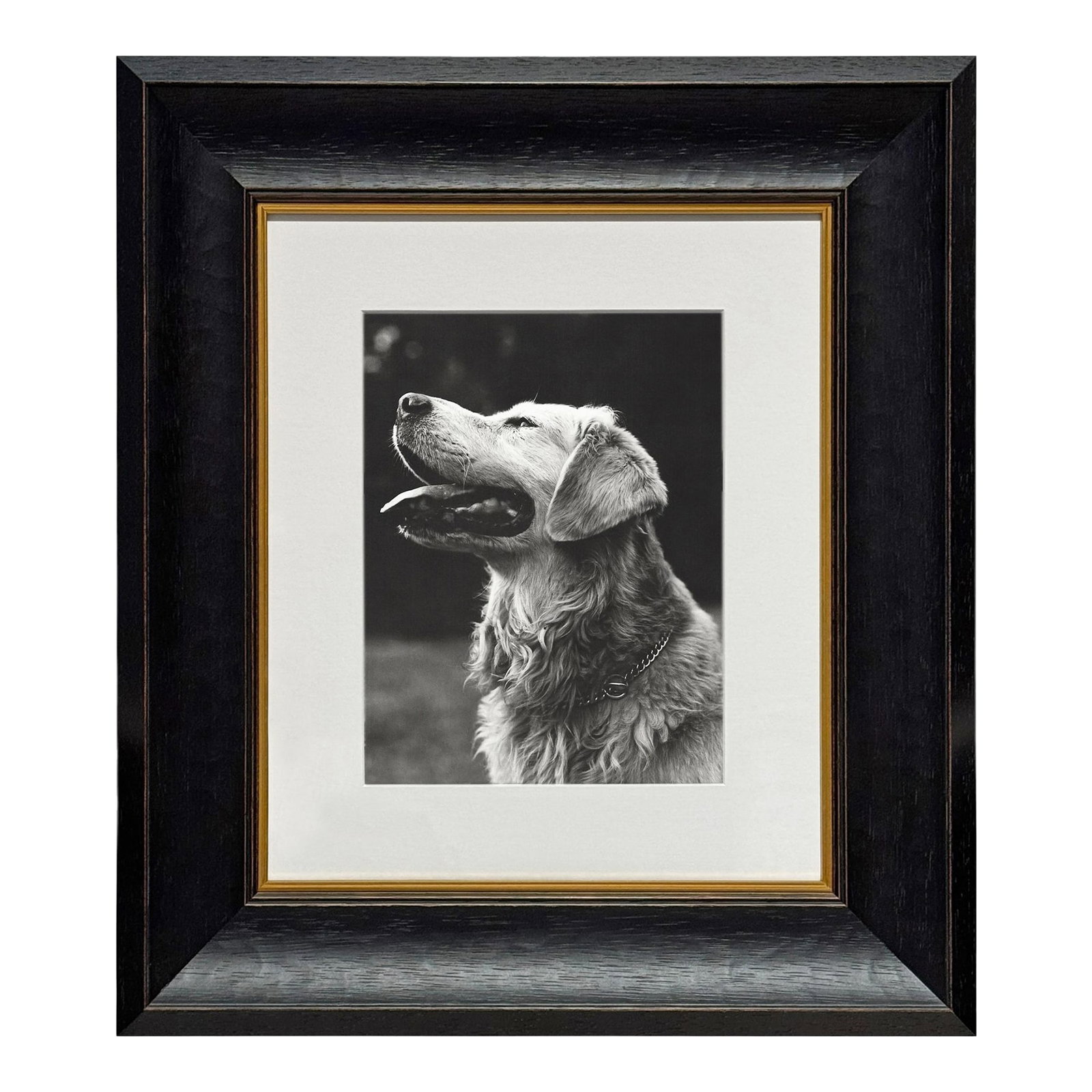Rowdy, a Framed Photograph by Bruce Weber (1 of 9)