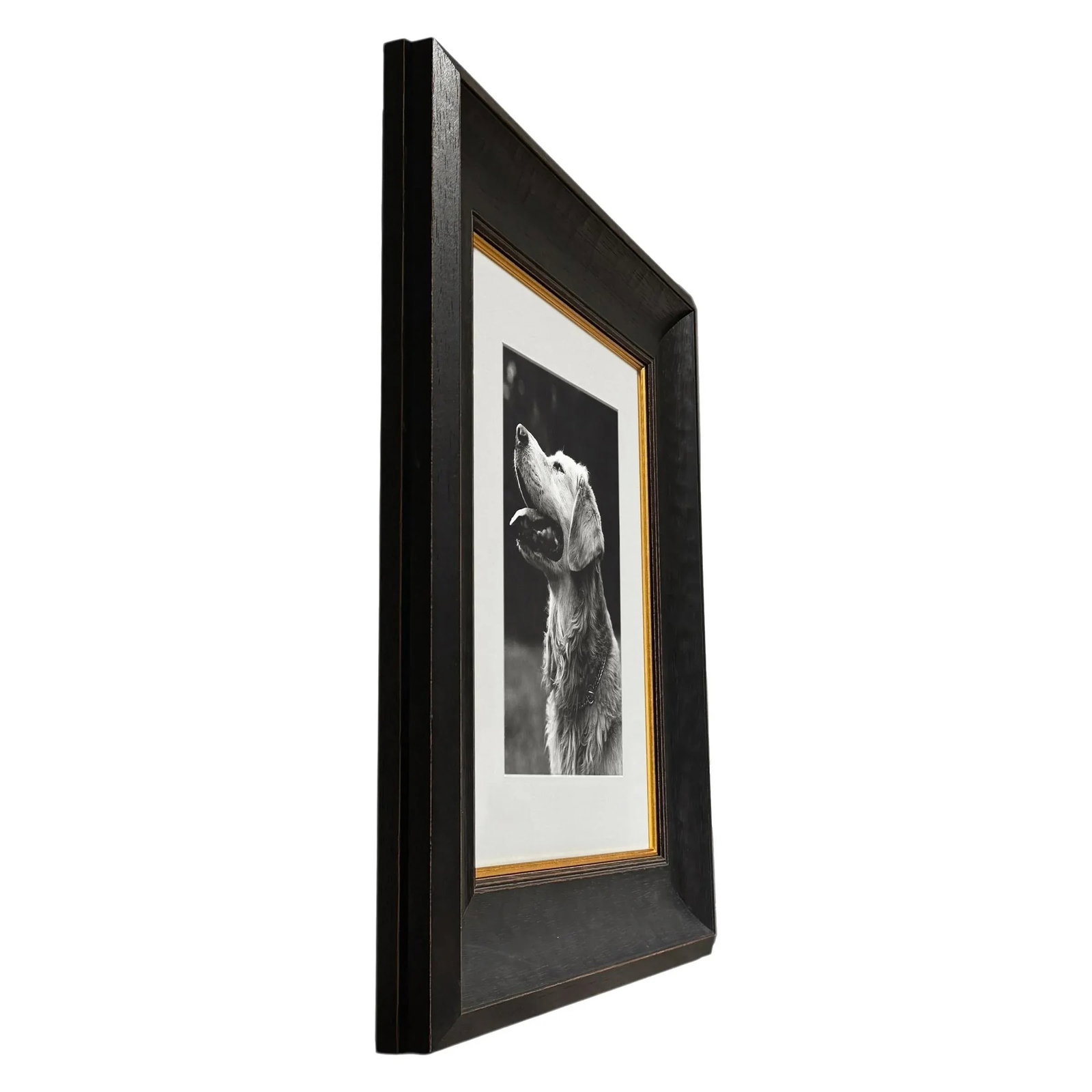 Rowdy, a Framed Photograph by Bruce Weber - 3