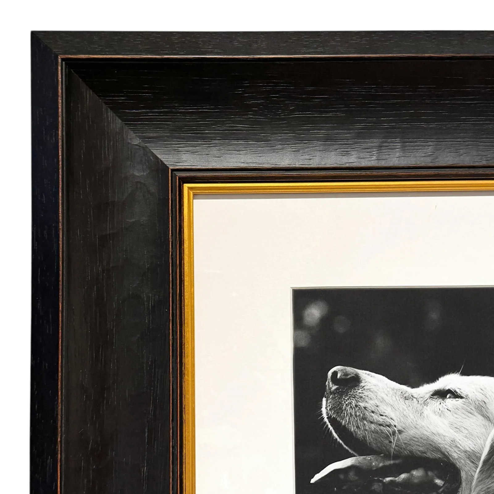 Rowdy, a Framed Photograph by Bruce Weber - 5