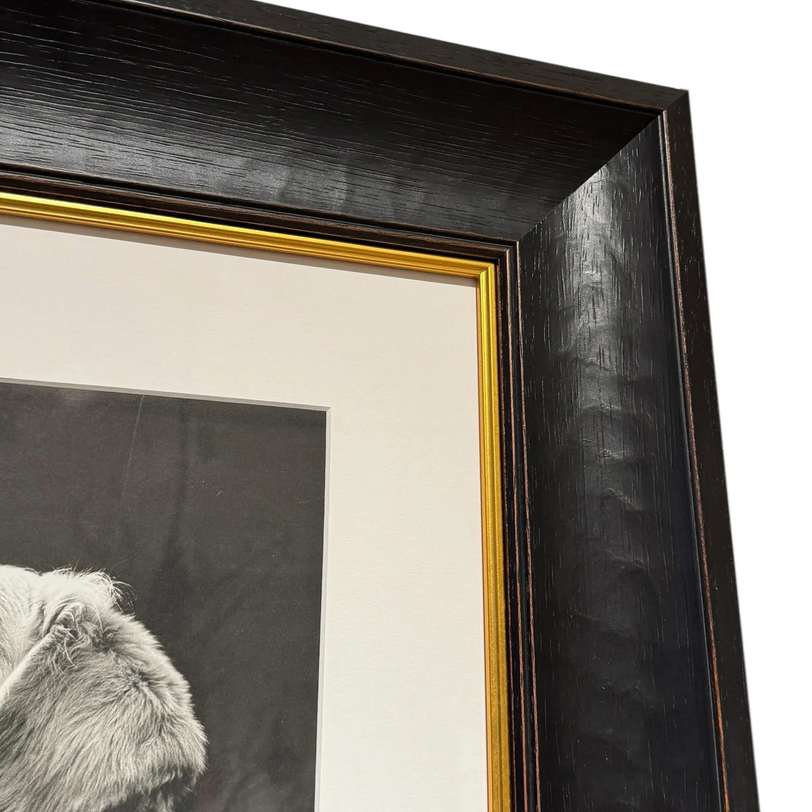 Rowdy, a Framed Photograph by Bruce Weber - 6