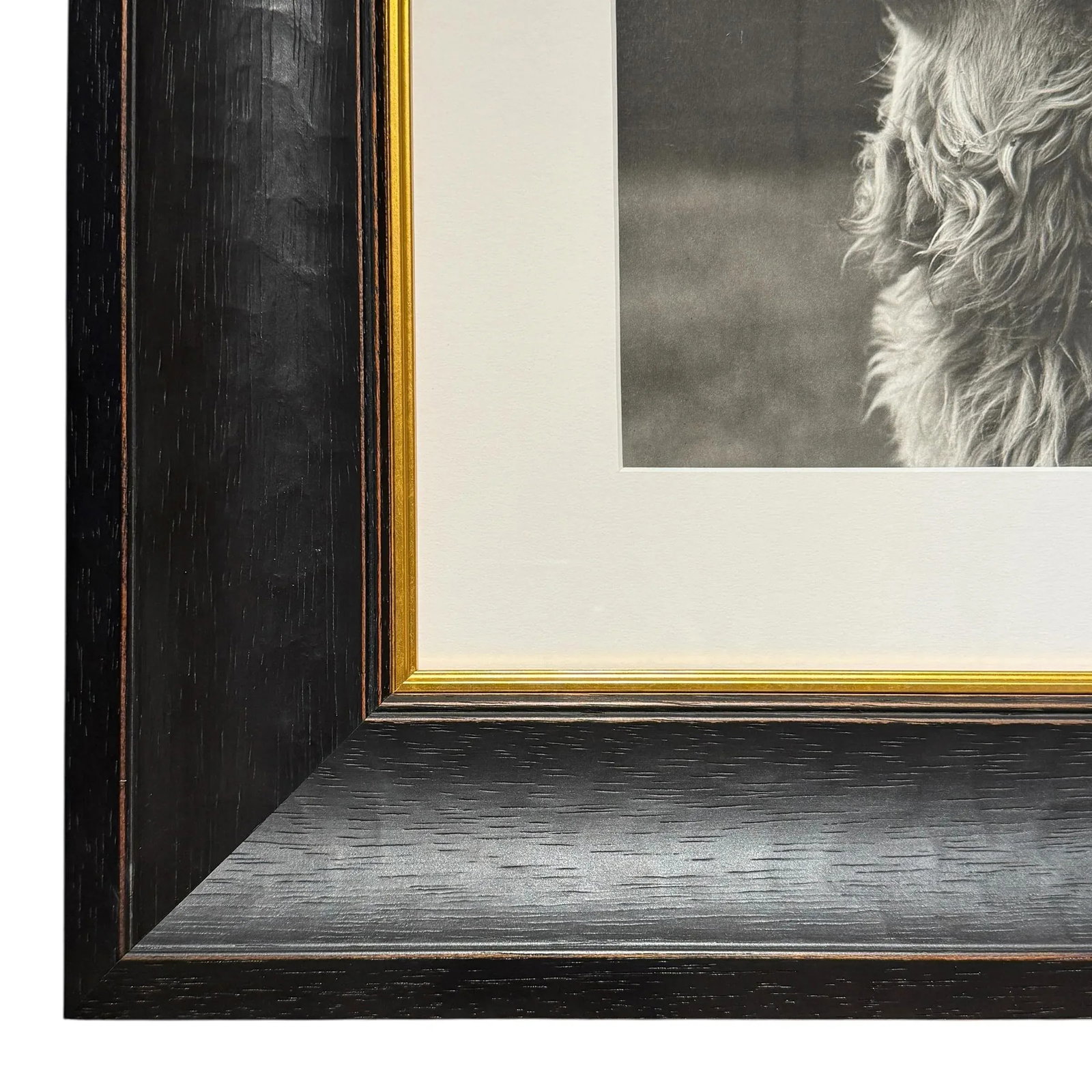 Rowdy, a Framed Photograph by Bruce Weber - 7