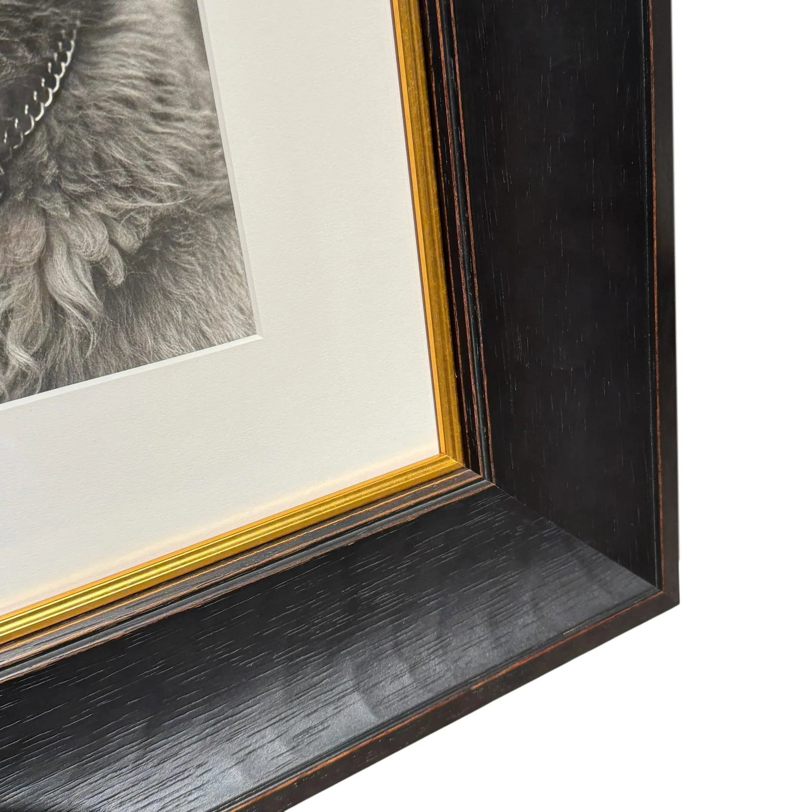 Rowdy, a Framed Photograph by Bruce Weber - 8
