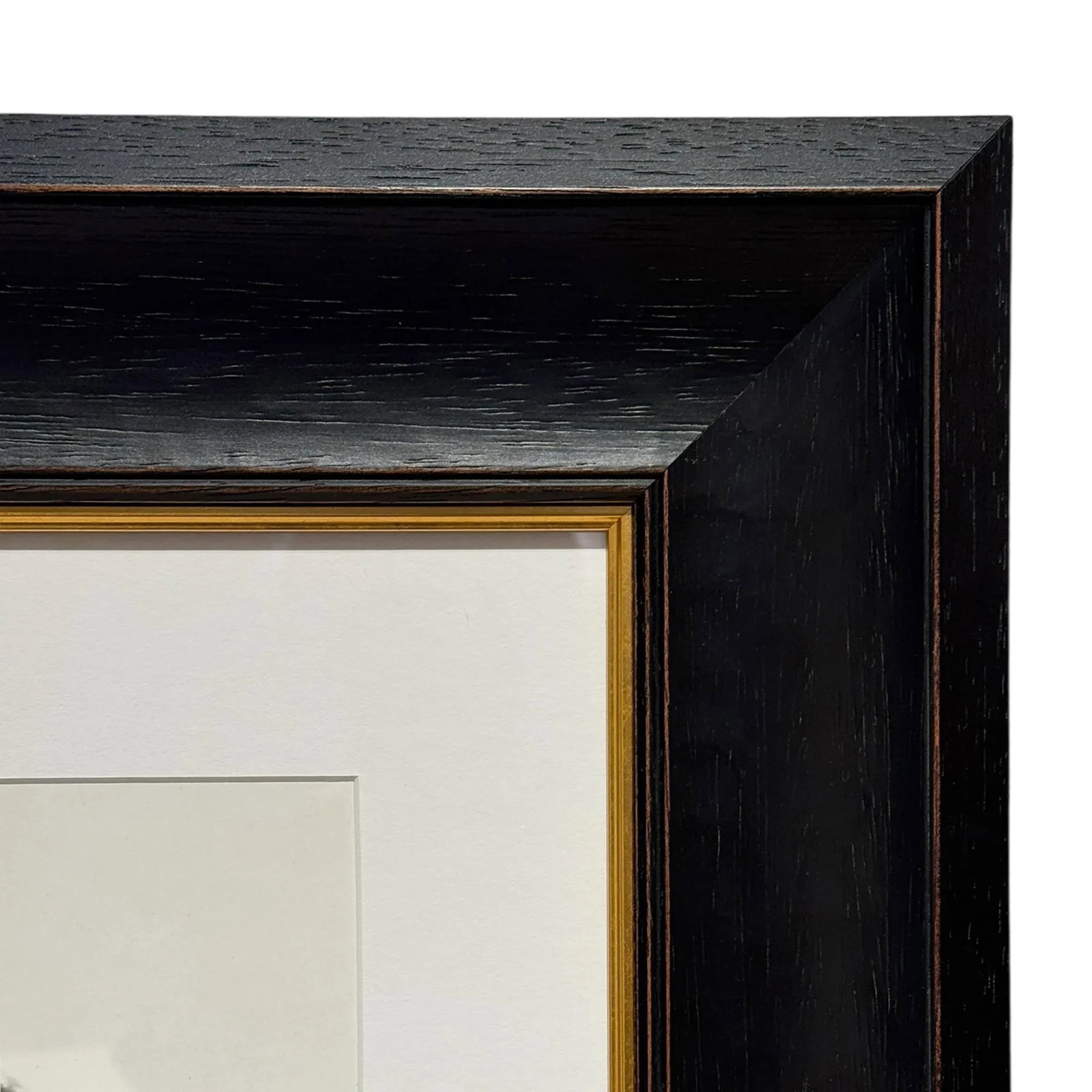 Ted and Rowdy, a Framed Photograph by Bruce Weber - 6