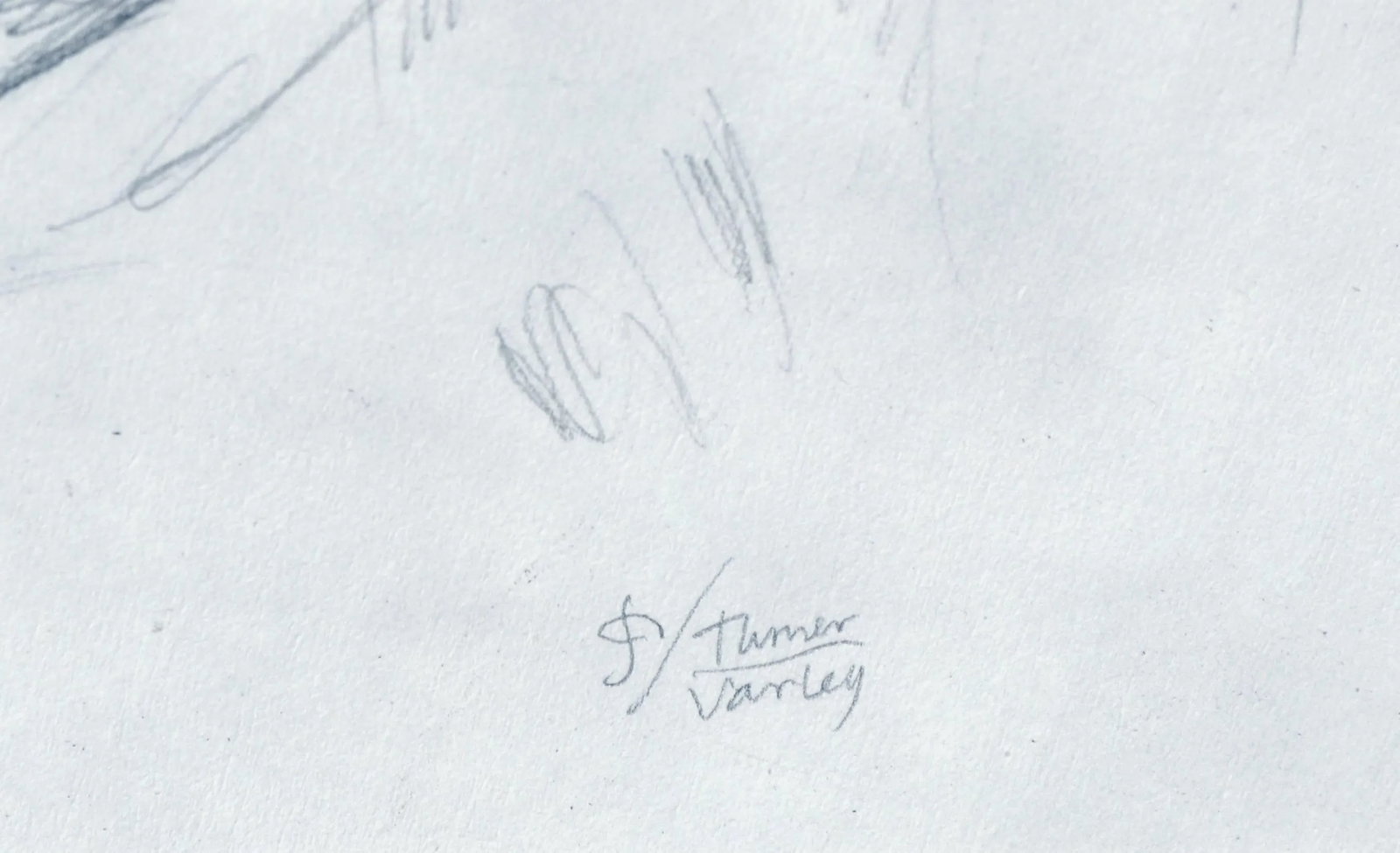 Turner's Varley Portrait by Gail Hodin-Reeves - 3