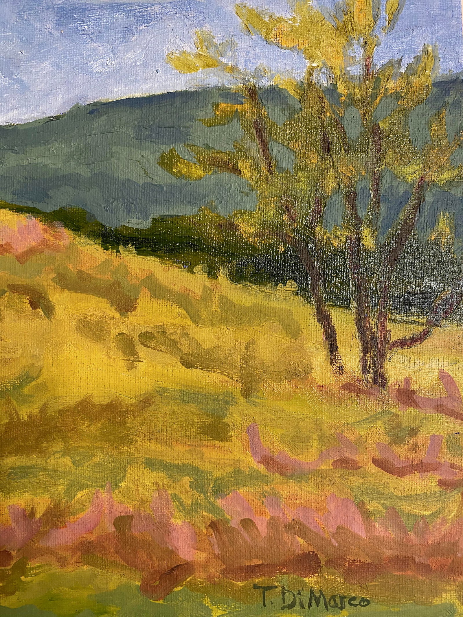 Contemporary Landscape Oil Painting, "Barn at Ft Lewis" by Teresa DiMarco - 3