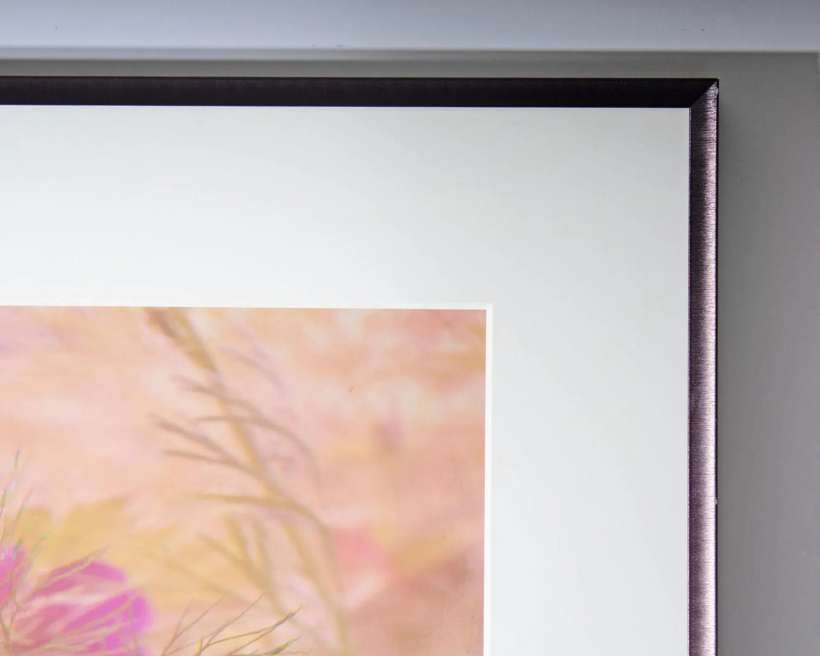 2011 "Wild Geranium - Geranium Maculatum" Archival C-Print Photograph by Bruce Checefsky - 6