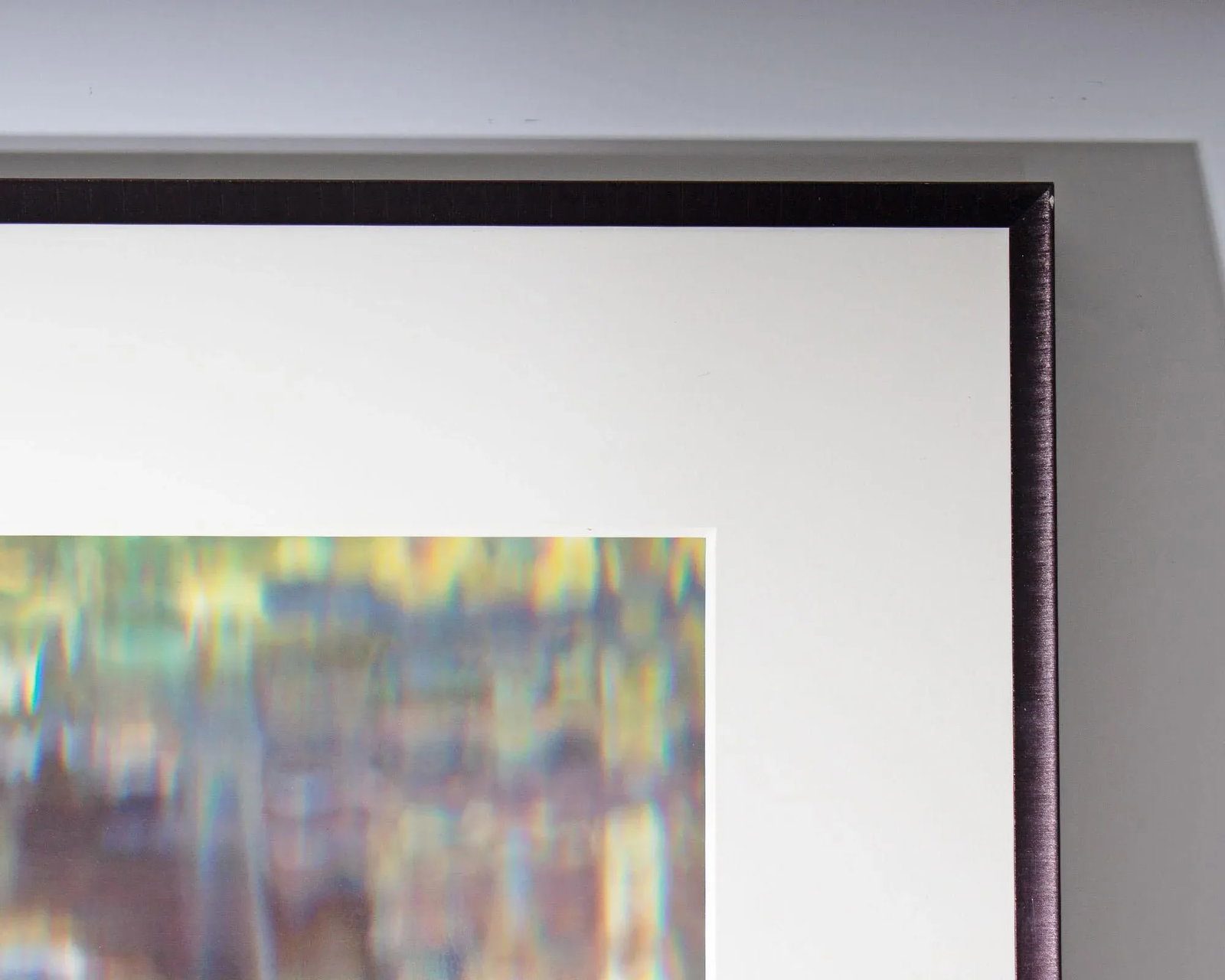 Bruce Checefsky 2011 "Allium Afatunese" Archival C-Print Photograph - 6