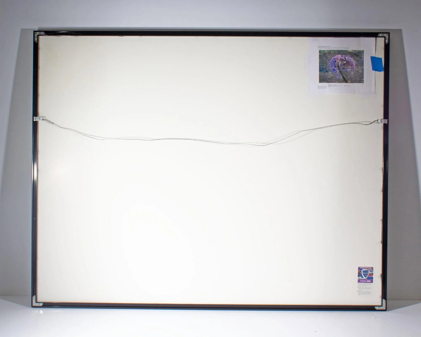 Bruce Checefsky 2011 "Allium Afatunese" Archival C-Print Photograph - 7